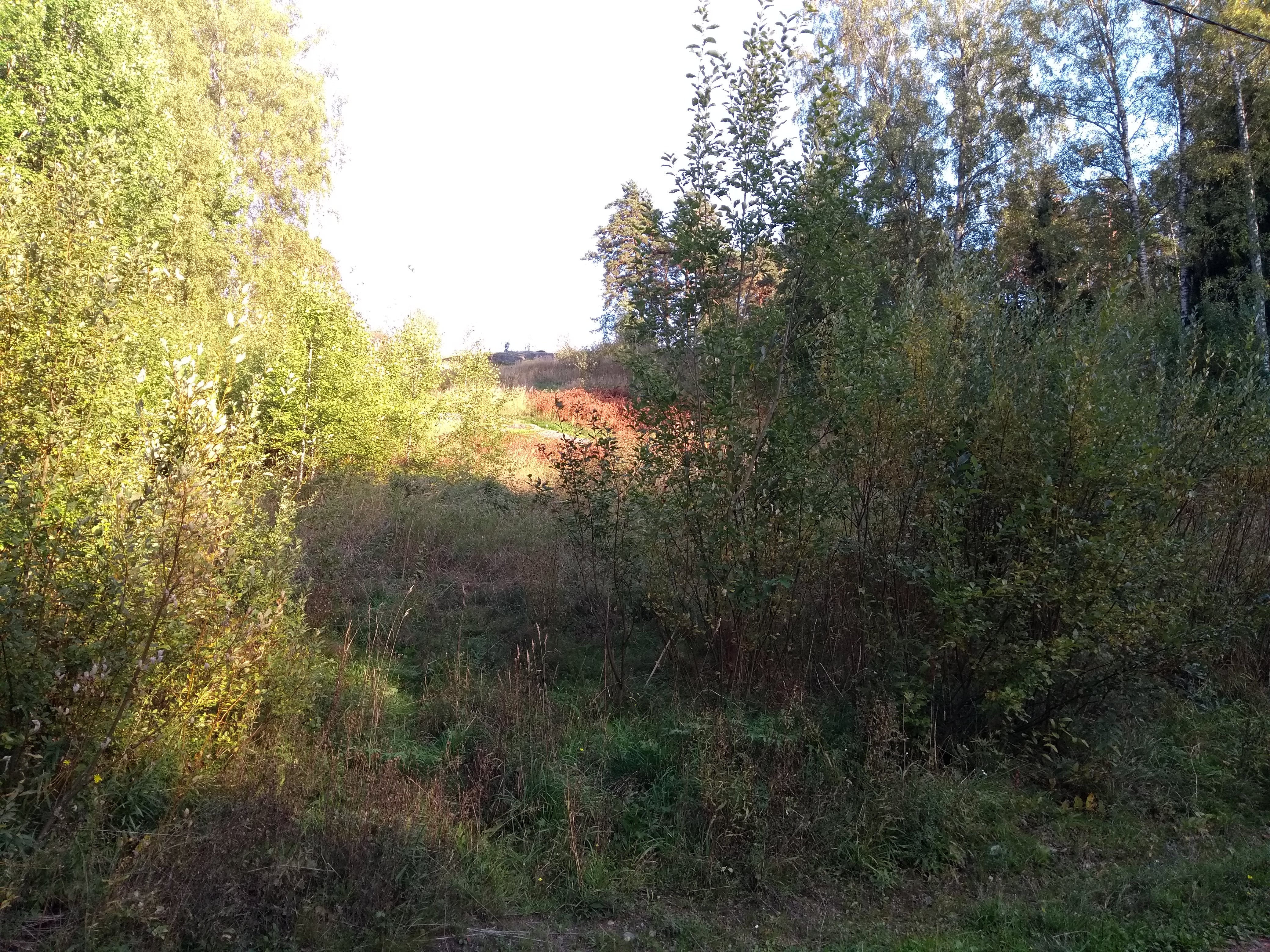 Herttoniemi dressing bracelet rephoto