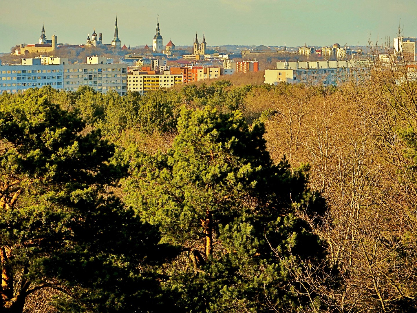 Tallinna vaade. Mustamäe. rephoto