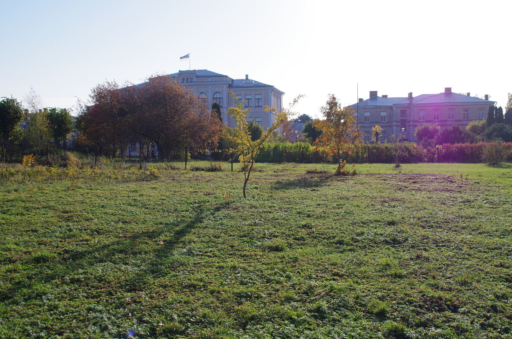 Rakvere Pedagoogilise Kooli liuväljal rephoto