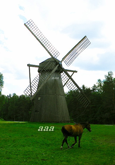 Kalma tuulik rephoto