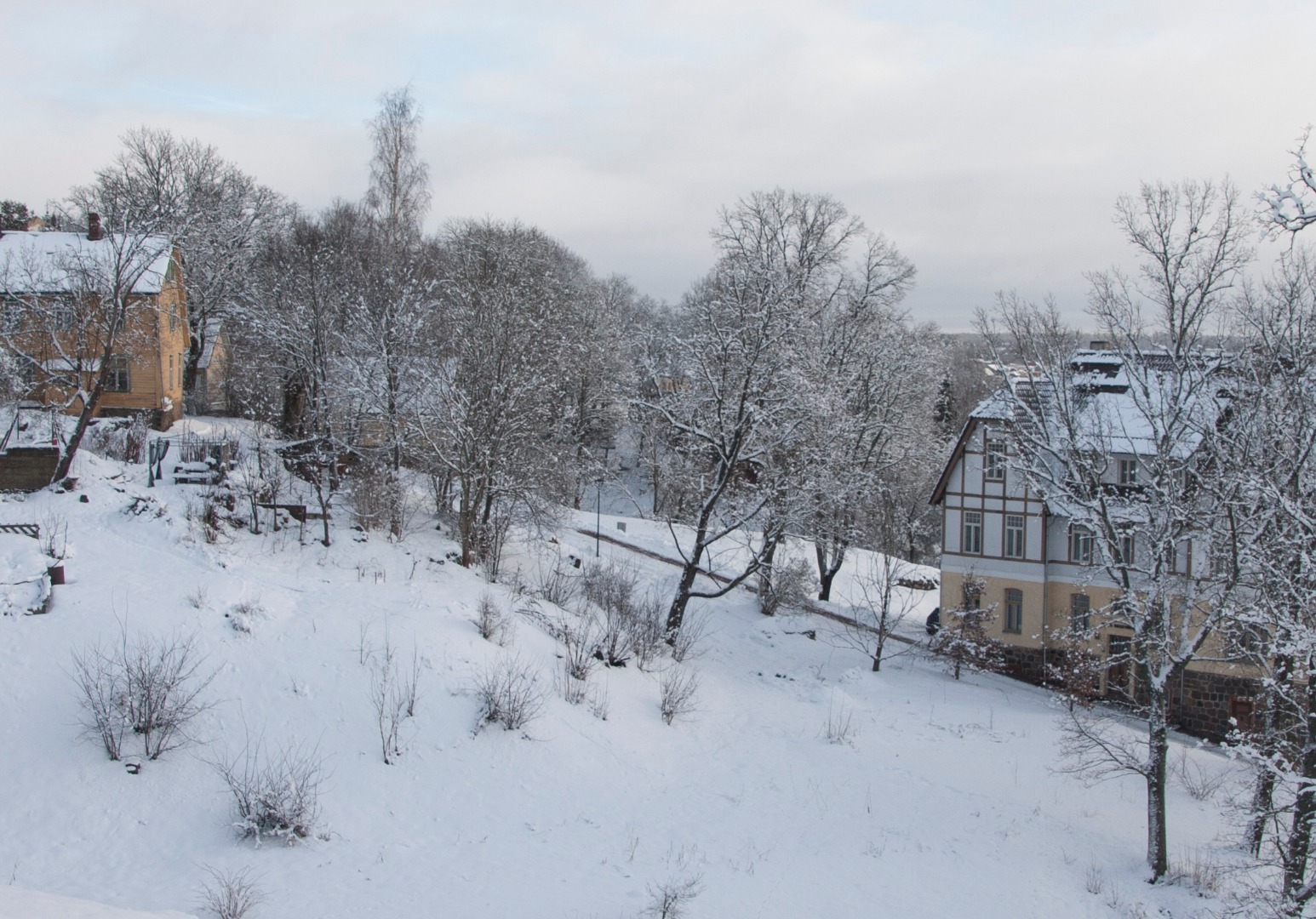 fotopostkaart, Viljandi, Pikk tn 33, G. Rosenberg'i maja, kasvuhooned (Tarik'u, hiljem Kontus'e ja siis Asu aiand), linna majad, u 1915, talv, foto J. Riet rephoto