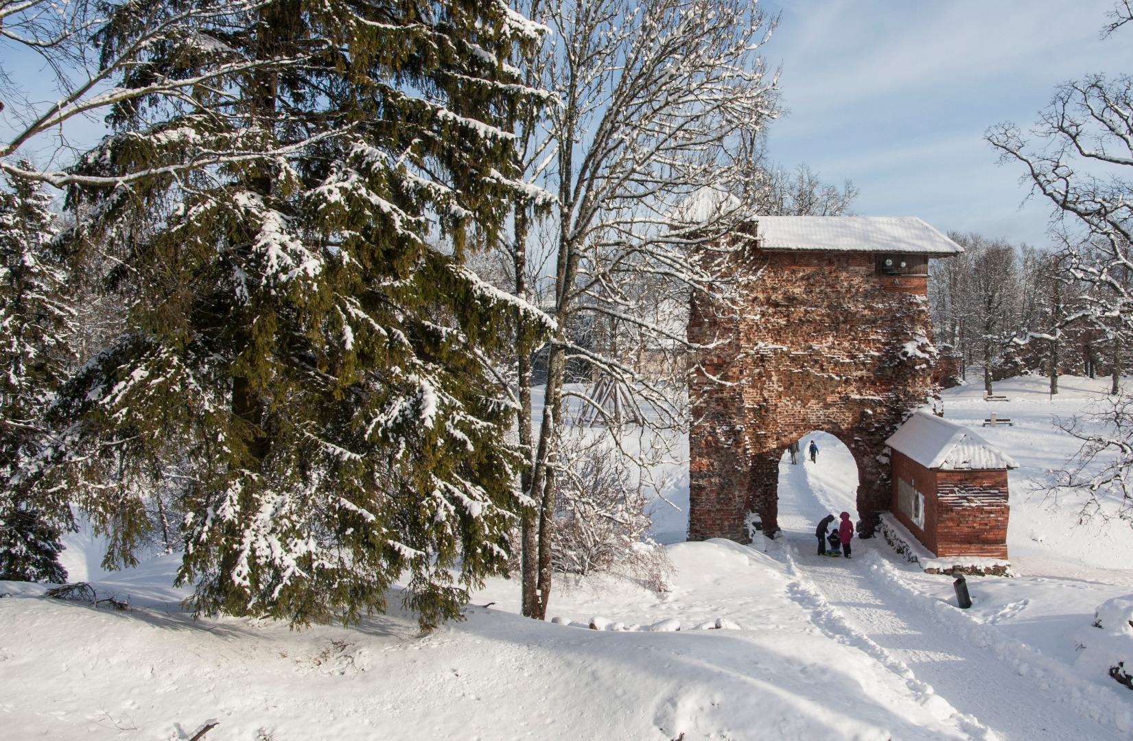 Wiljandi Winter Winter from Wade Castle Mountains rephoto