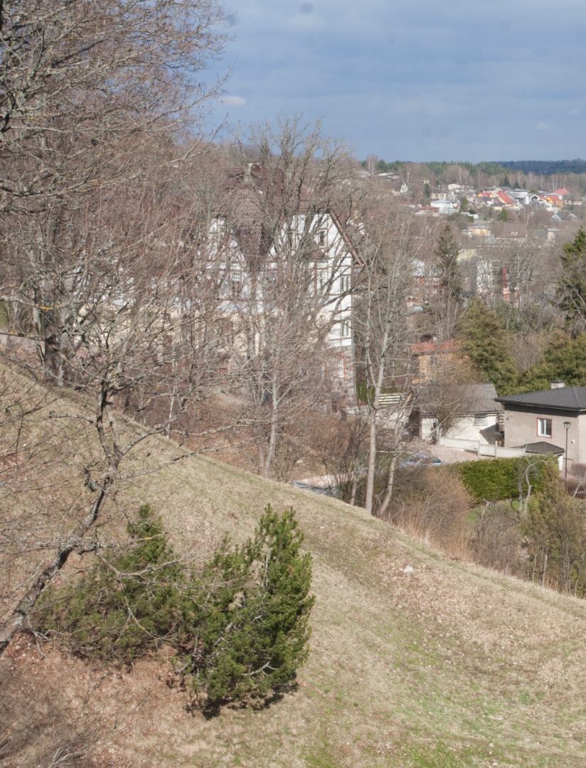 fotonegatiiv, Viljandi, A. Rosenbergi maja ümbrusega rephoto