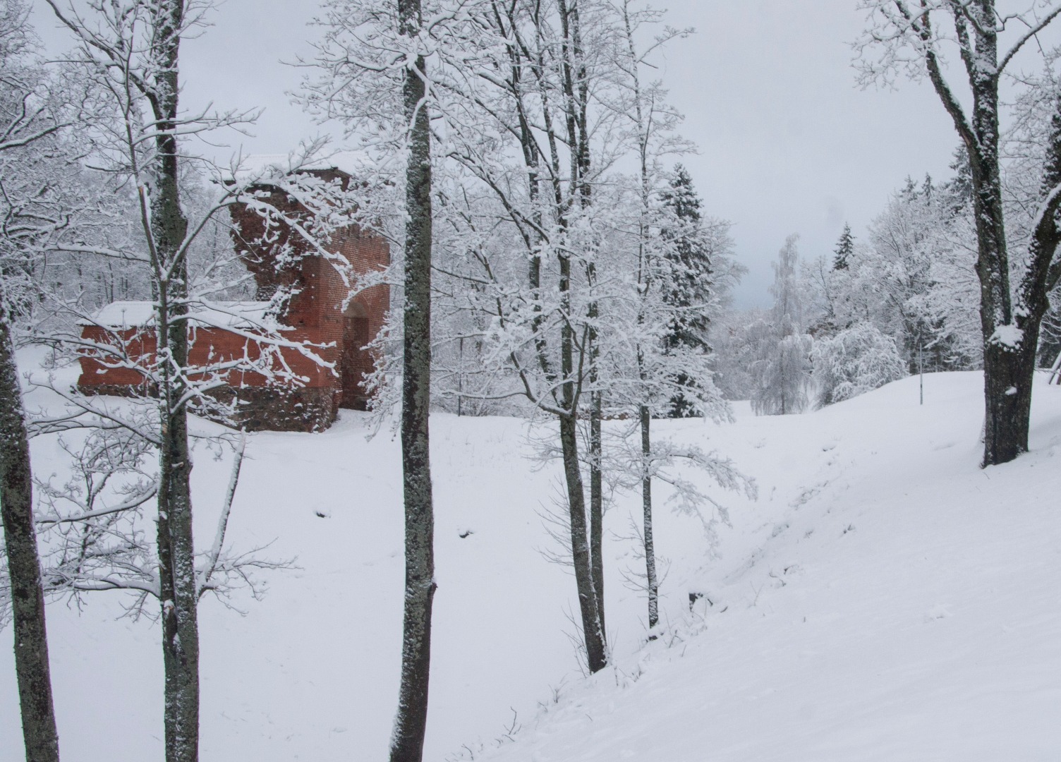 fotonegatiiv, Viljandi, Lossimäed, Kaevumäe ja Kirsimäe vaheline org (talvel) rephoto