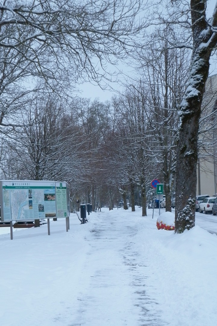 fotonegatiiv, Viljandi, Tasuja puiestee rephoto