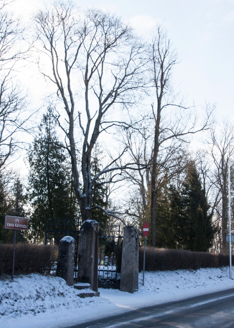 foto, Viljandi, Vana kalmistu (talvel), värav, u 1920, foto J. Riet rephoto