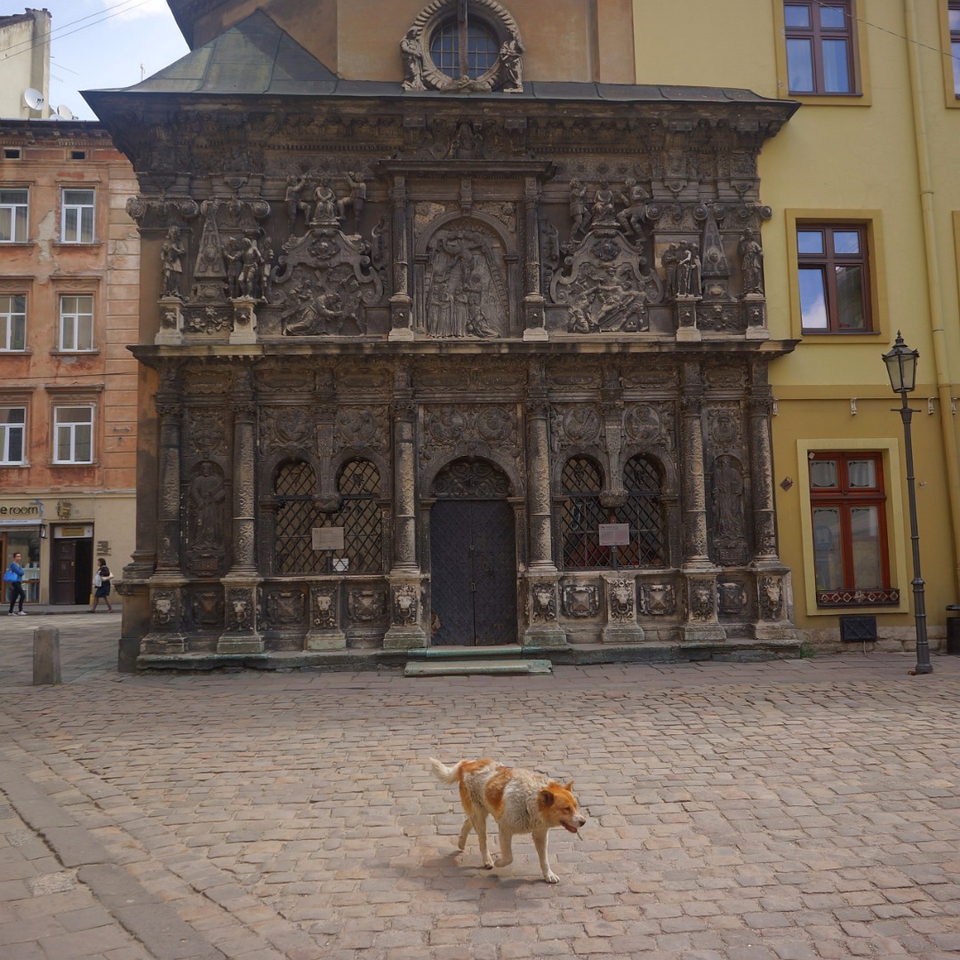 Brest, Lvov, Užgorod... Back-Carpathy. rephoto