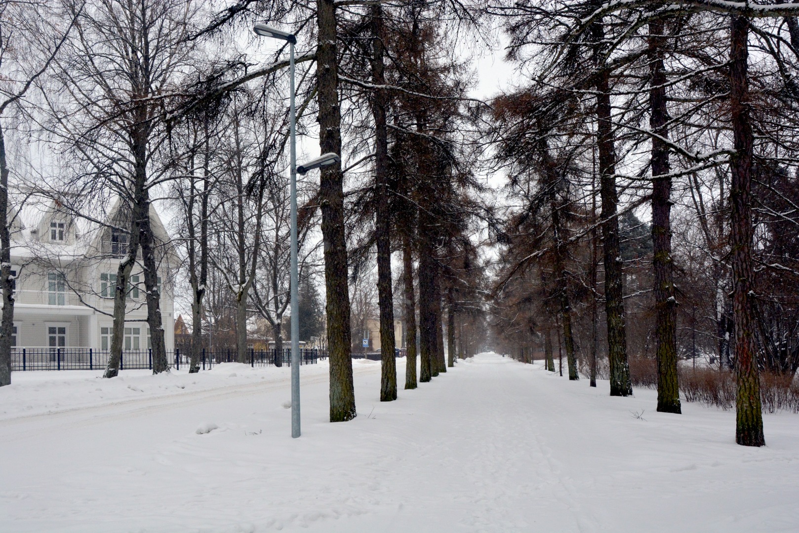 View Supluse puiestee in Pärnu. rephoto