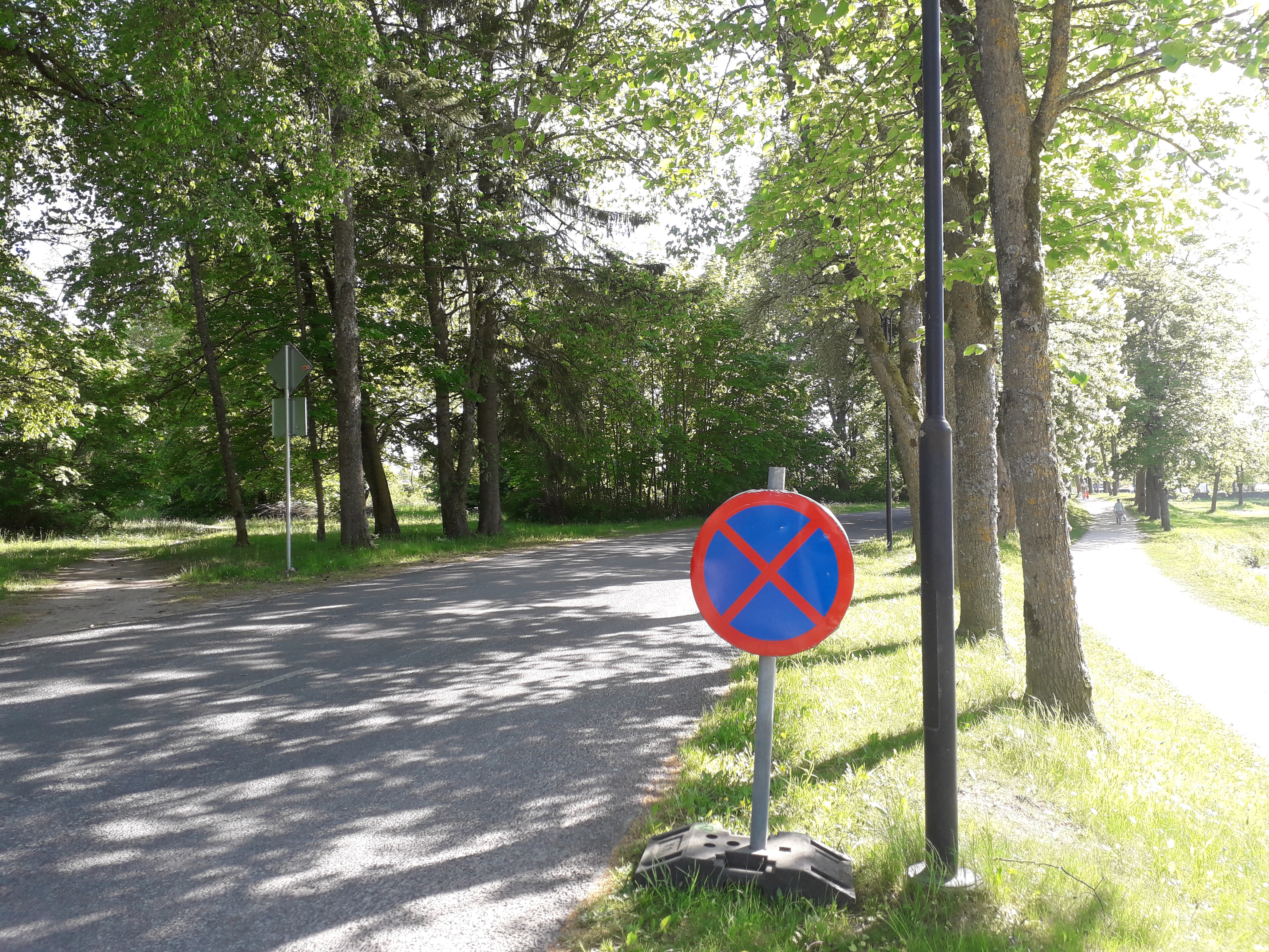 Vaade puiesteele - tee mudaravila "Roomassaar" juurde. rephoto