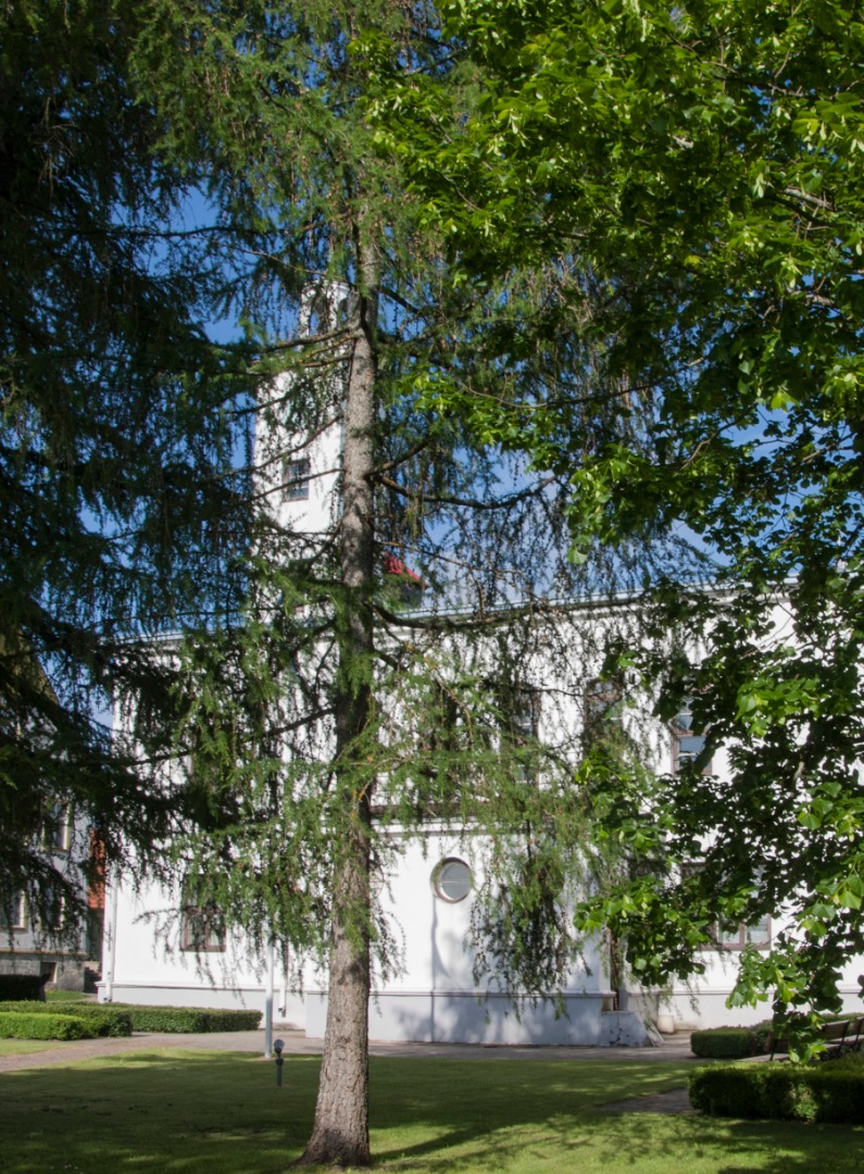 foto Viljandi raekoda rephoto