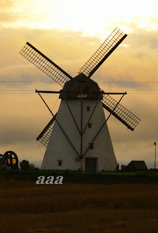 foto Seidla veski 1994 rephoto