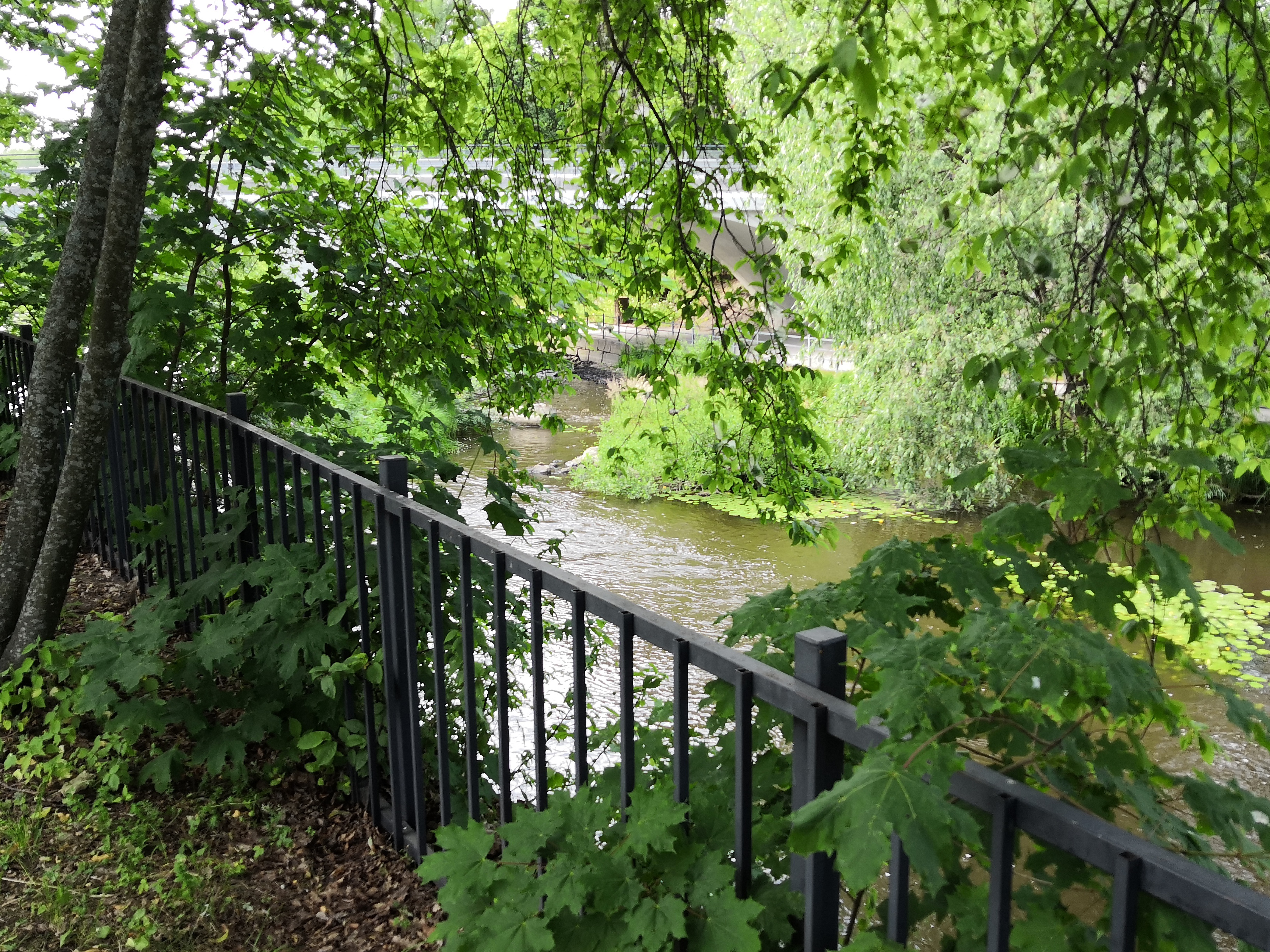 Vanhankaupunginkoski. Vanhankaupunginkosken itäinen haara Viikintien sillan suuntaan. rephoto