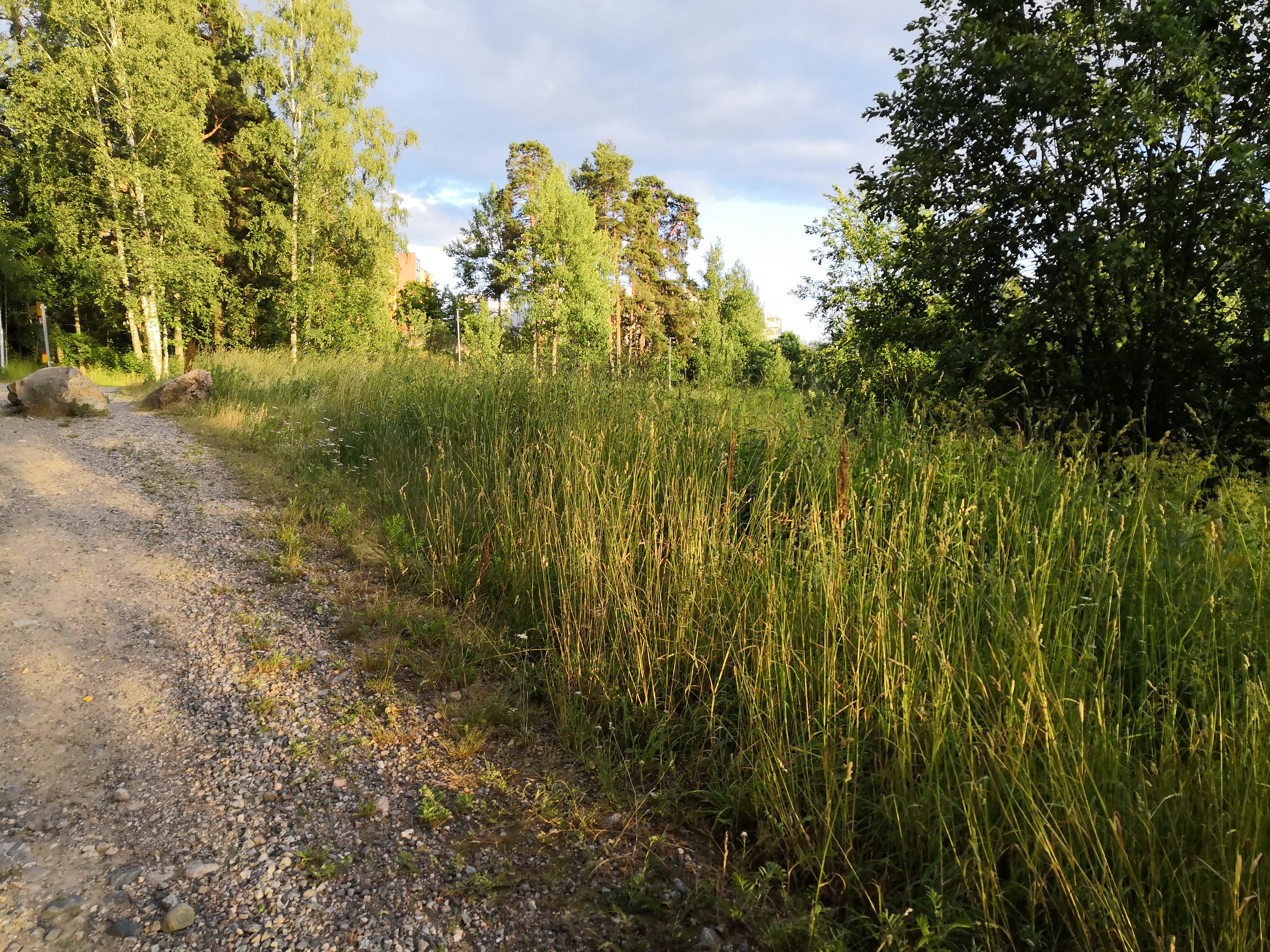 Paukkulanpuisto. Taustalla näkyy Kivijatatie 4:n rakennus. Puiston alueella on sijainnut puolustusvoimien rakentama Malmin ampumarata, joka valmistui vuonna 1937 Helsingissä järjestettyihin ammunnan MM-kisoihin, ja suljettiin vuonna 1993.  Puistossa on maisemallisesti arvokasta puustoa, jota tulee hoitaa elinvoimaisena, ja uudistaa siten että sen maisemallinen arvo säilyy. rephoto