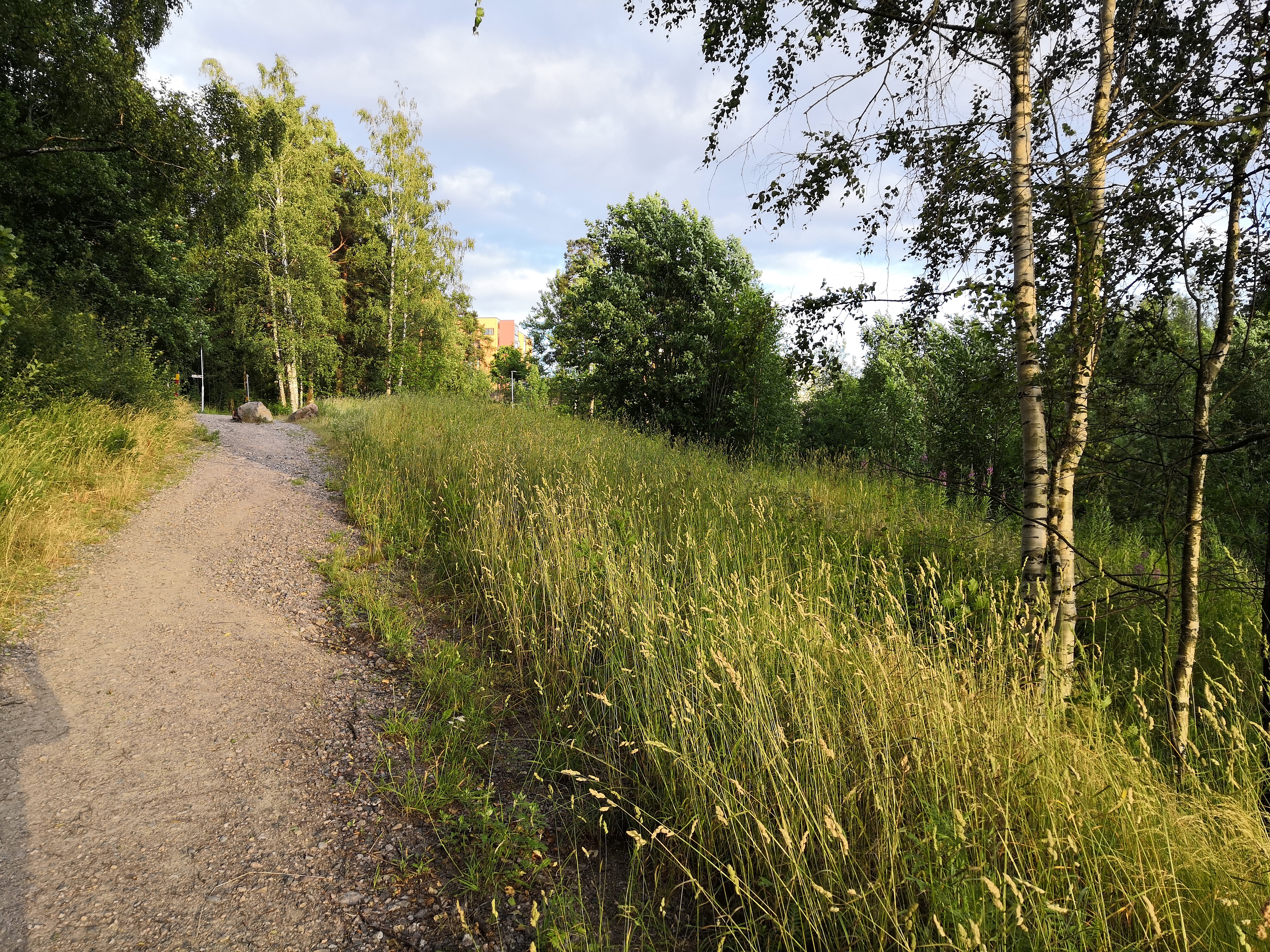 Paukkulanpuisto. Taustalla näkyy Kivijatatie 4:n rakennus. Puiston alueella on sijainnut puolustusvoimien rakentama Malmin ampumarata, joka valmistui vuonna 1937 Helsingissä järjestettyihin ammunnan MM-kisoihin, ja suljettiin vuonna 1993.  Puistossa on maisemallisesti arvokasta puustoa, jota tulee hoitaa elinvoimaisena, ja uudistaa siten että sen maisemallinen arvo säilyy. rephoto