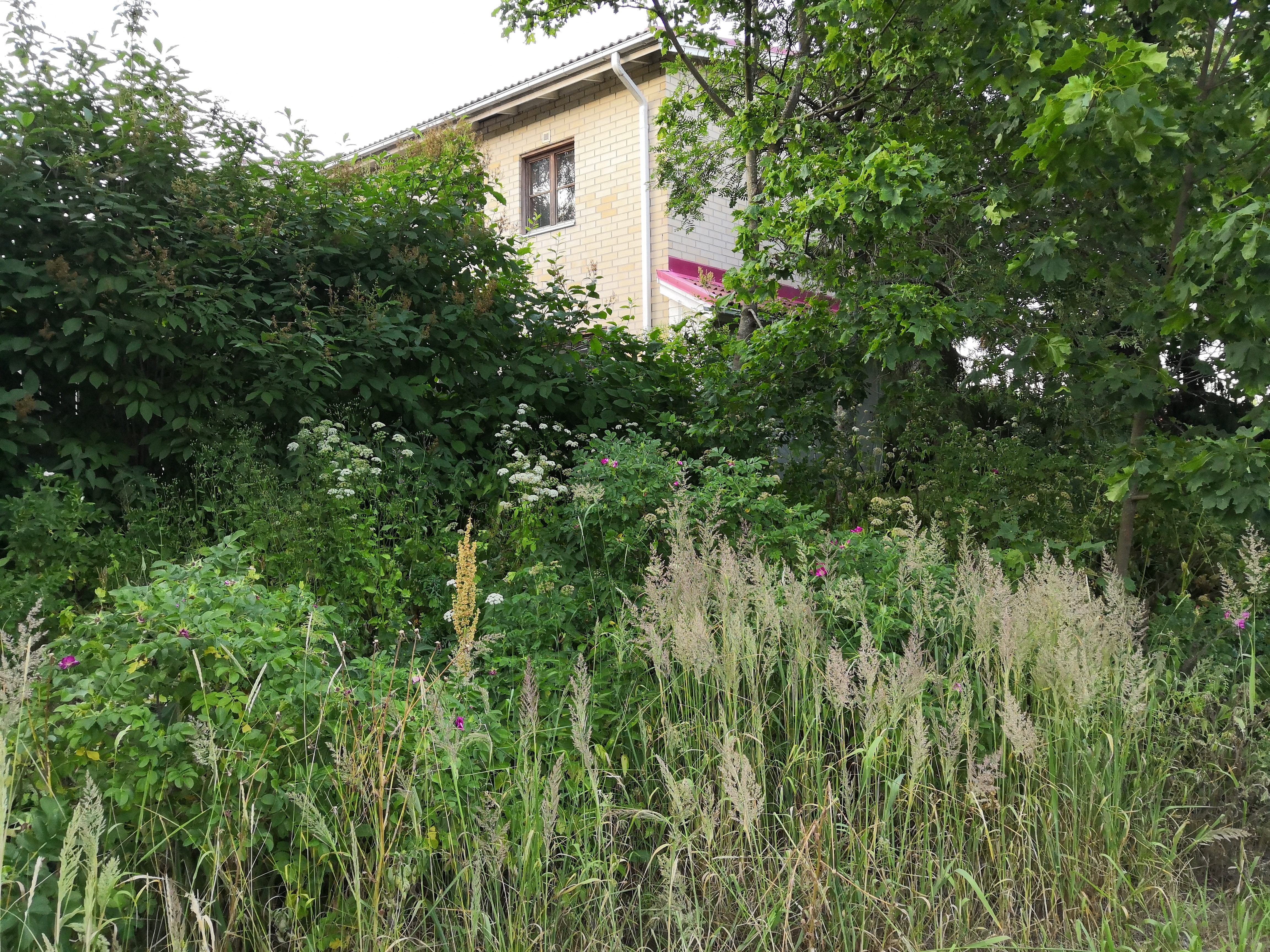 Leipomo Malmilla.; repronegatiivi, filmi paperi, mv rephoto