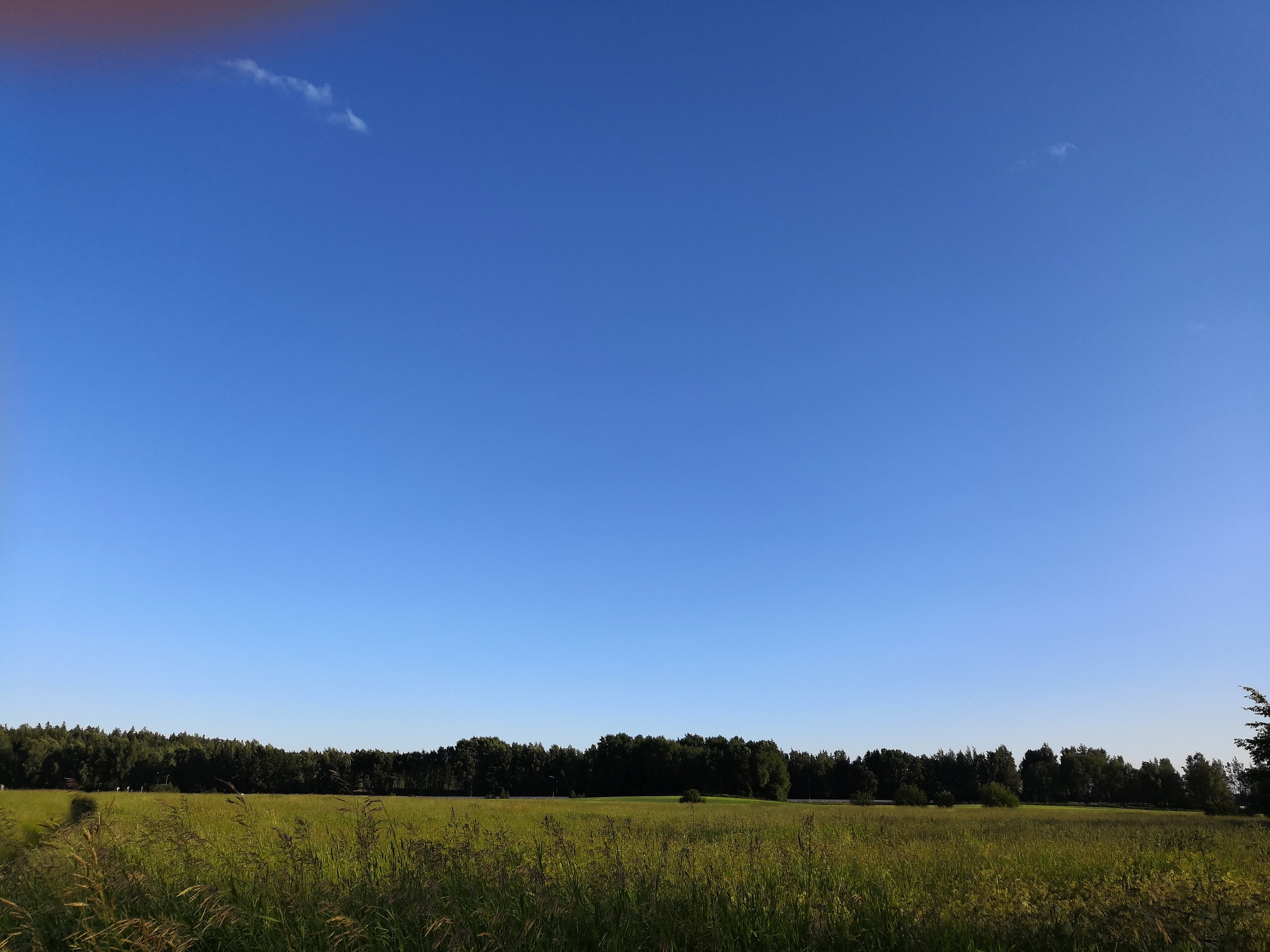 Ilmalaiva Graf Zeppelin Helsingin yllä. Kutsuvieraat odottavat aluksen laskeutumista maahan Viikin Latokartanon pellolla, kovan tuulen vuoksi alus kuitenkin pystyi vain jättämään postisäkit laskeutumatta maahan saakka. rephoto