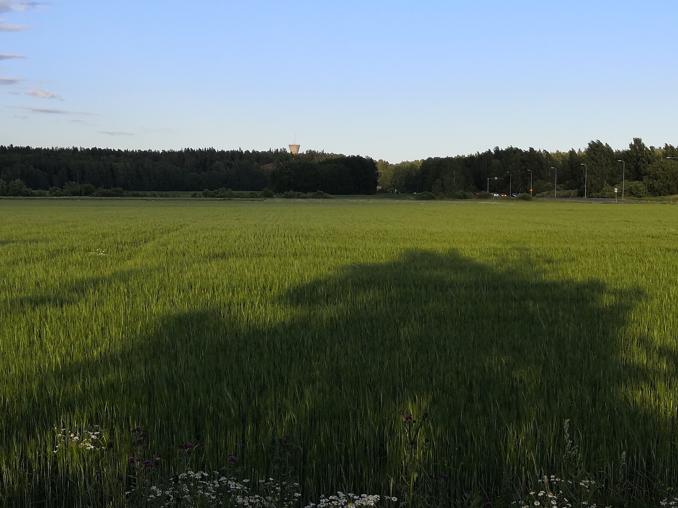 Näkymä Viikin Latokartanon pellolta kaakkoon. Oikealla Viikintie ja Herttonemen satamarata. Taustalla Myllypuron vesitorni. rephoto