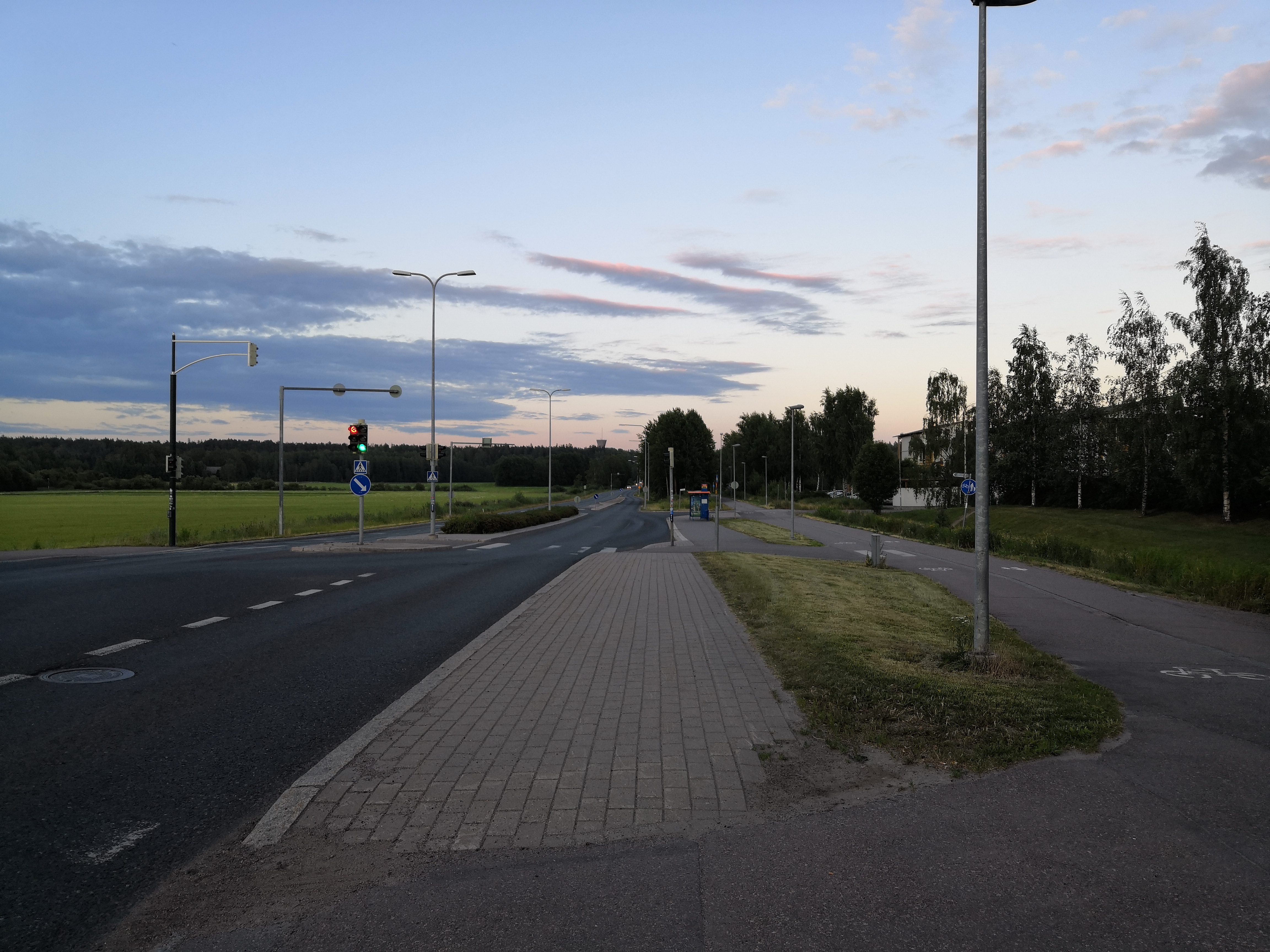 Viikin tiedepuisto. Näkymä Viikin Latokartanon suunnalta nykyisen Viikinkaaren kohdilta itäkaakkoon. Etualalla maanpäällisten lämpöjohtojen yli kulkeva puusilta. Oikealla puiden takana Viikin koetilan lämpökeskus. Taustalla Myllypuron vesitorni. rephoto