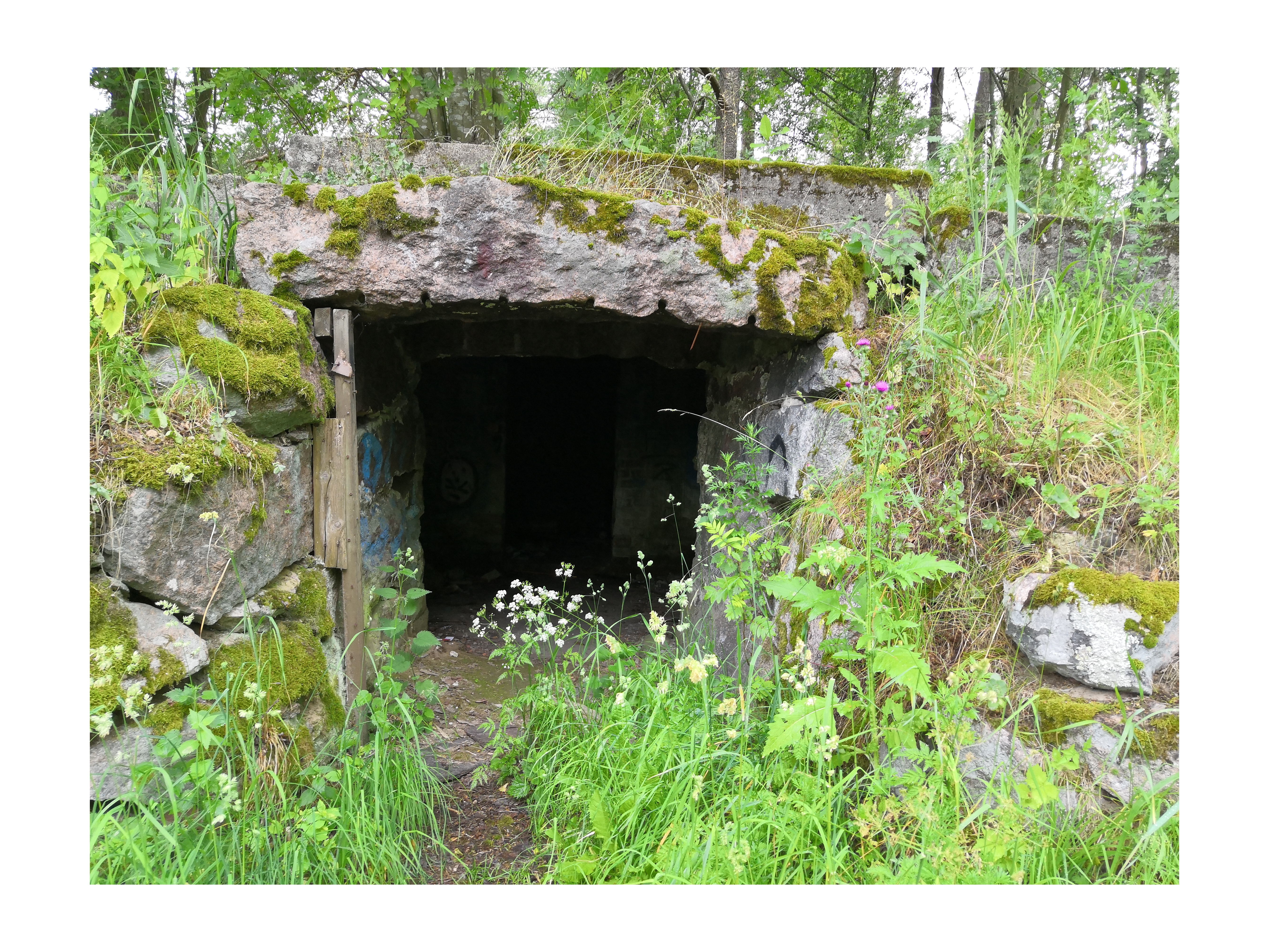 Paukkulanpuistossa sijaitseva kellari. Lapsia kellarin oviaukolla. Puiston alueella on sijainnut puolustusvoimien rakentama Malmin ampumarata, joka valmistui vuonna 1937 Helsingissä järjestettyihin ammunnan MM-kisoihin, ja suljettiin vuonna 1993. Puistossa on maisemallisesti arvokasta puustoa, jota tulee hoitaa elinvoimaisena, ja uudistaa siten että sen maisemallinen arvo säilyy. rephoto