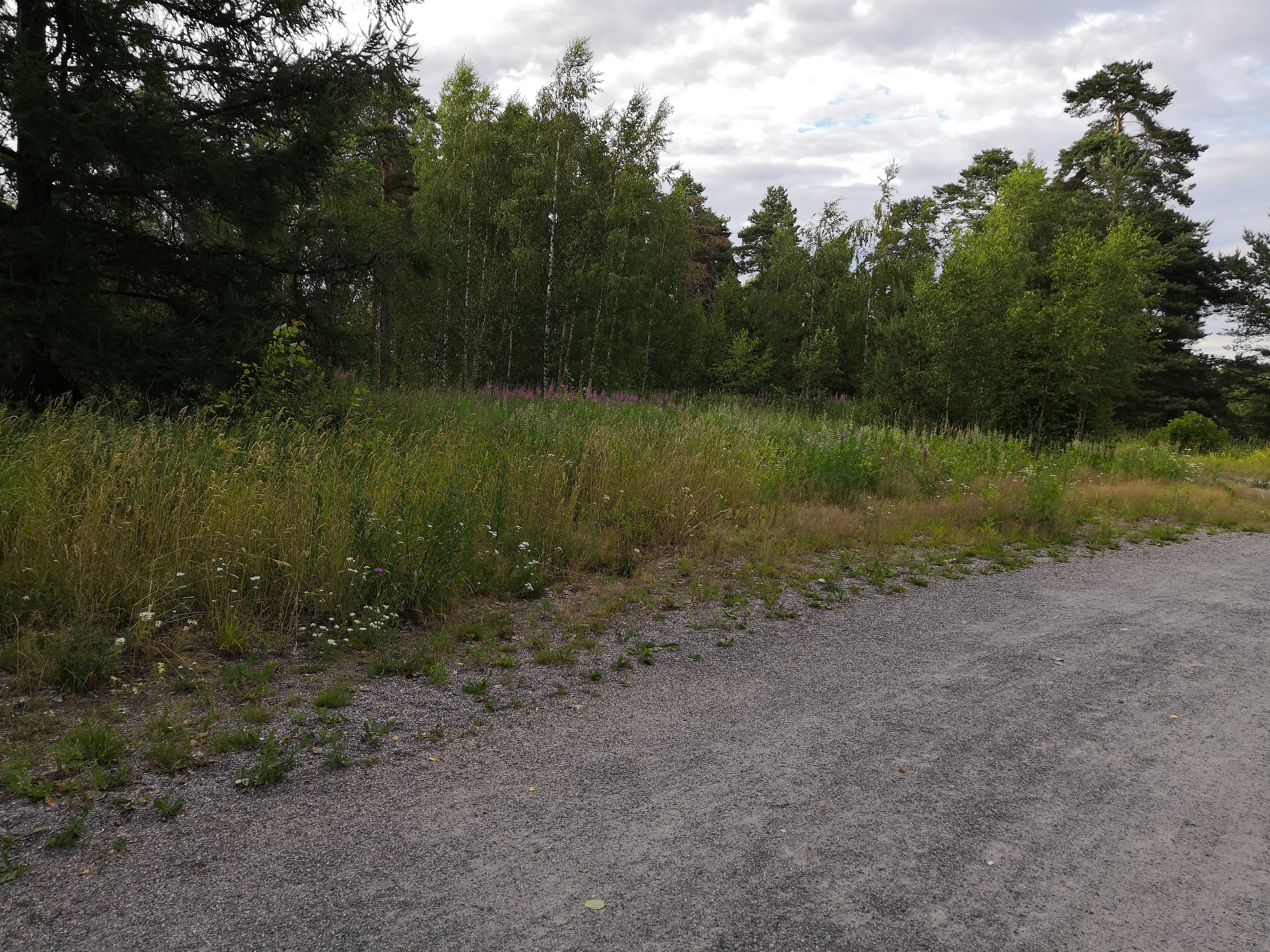 Mellunkylä, Kivikko.  Malmin ampumaradan paviljonki, Paukkula. rephoto