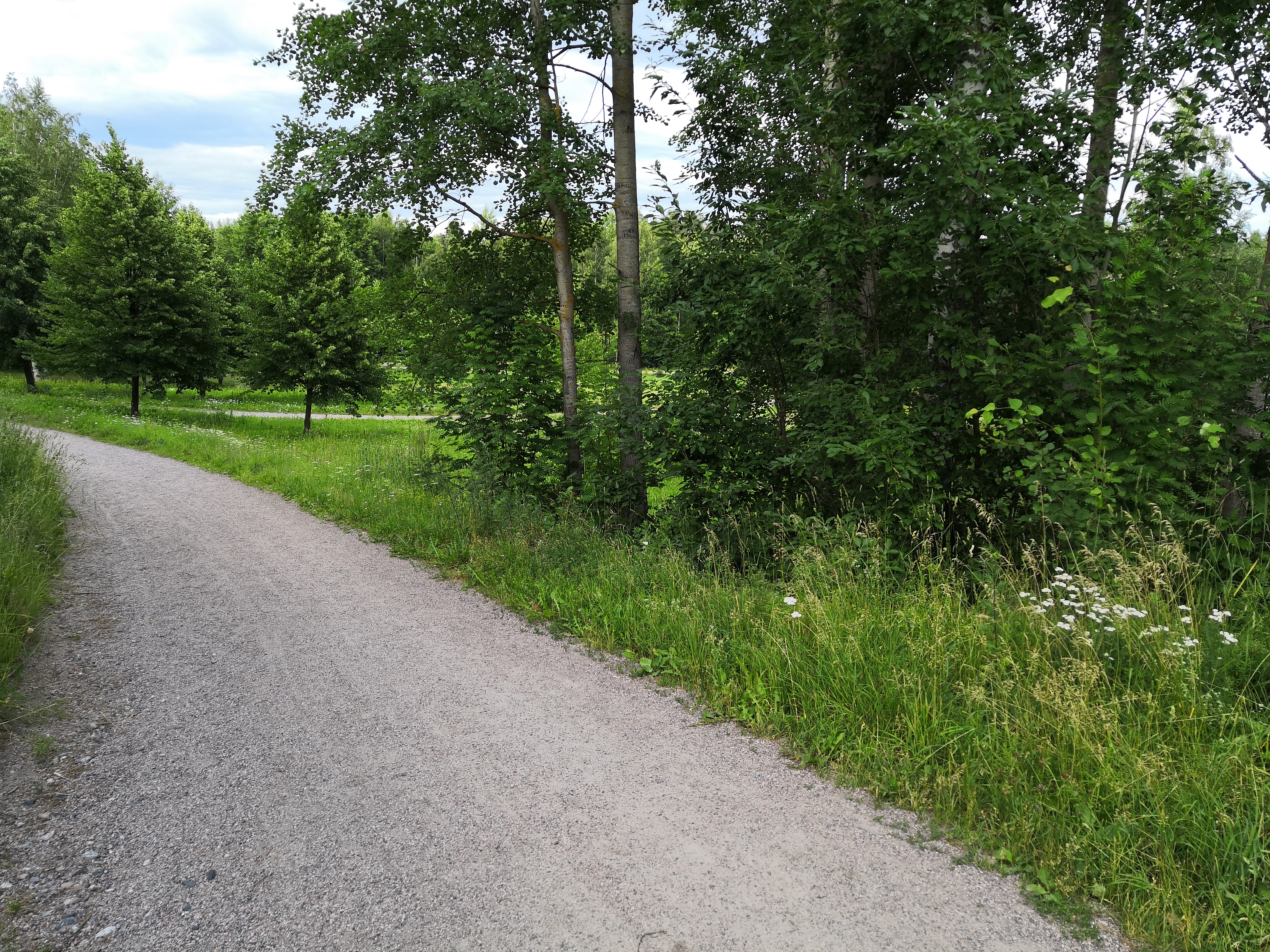 Mellunkylä, Kivikko.  Malmin ampumarata. rephoto