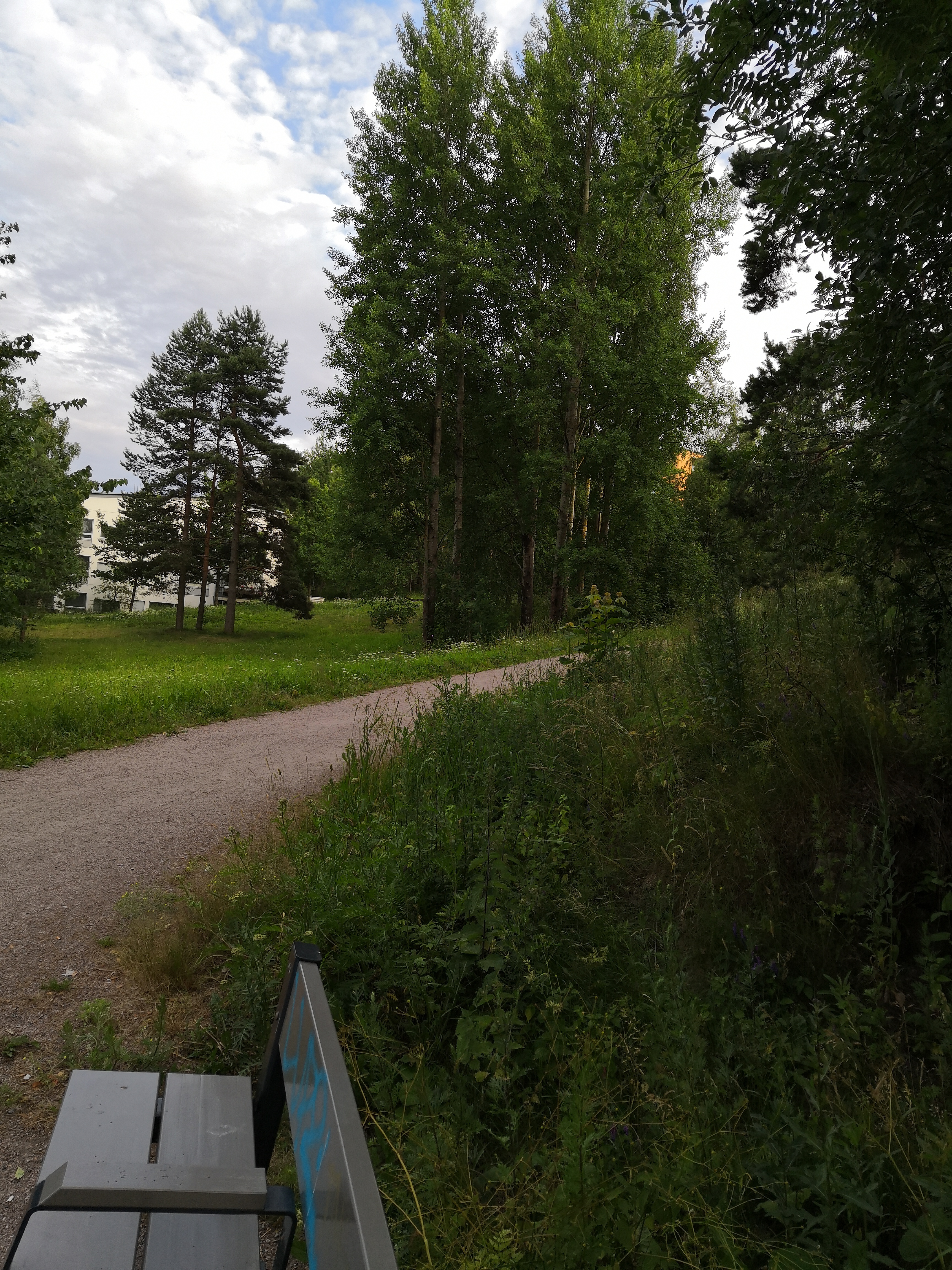 Paukkulanpuistossa sijaitsevat rakenteet, kauempana näkyy Kivikon asuinaluetta. Puiston alueella on sijainnut puolustusvoimien rakentama Malmin ampumarata, joka valmistui vuonna 1937 Helsingissä järjestettyihin ammunnan MM-kisoihin, ja suljettiin vuonna 1993. rephoto