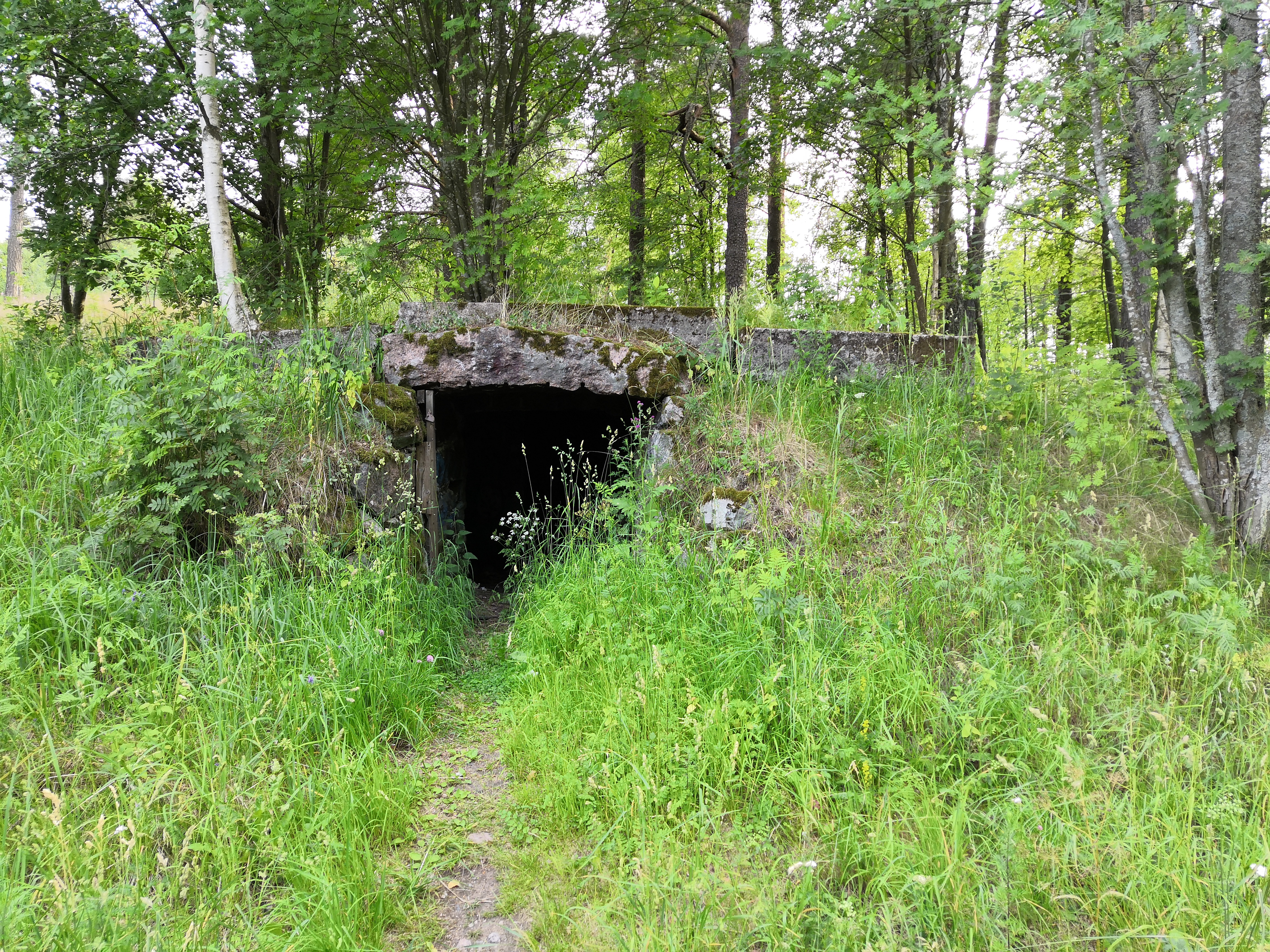 Paukkulanpuistossa sijaitseva kellari. Puiston alueella on sijainnut puolustusvoimien rakentama Malmin ampumarata, joka valmistui vuonna 1937 Helsingissä järjestettyihin ammunnan MM-kisoihin, ja suljettiin vuonna 1993. Puistossa on maisemallisesti arvokasta puustoa, jota tulee hoitaa elinvoimaisena, ja uudistaa siten että sen maisemallinen arvo säilyy. rephoto
