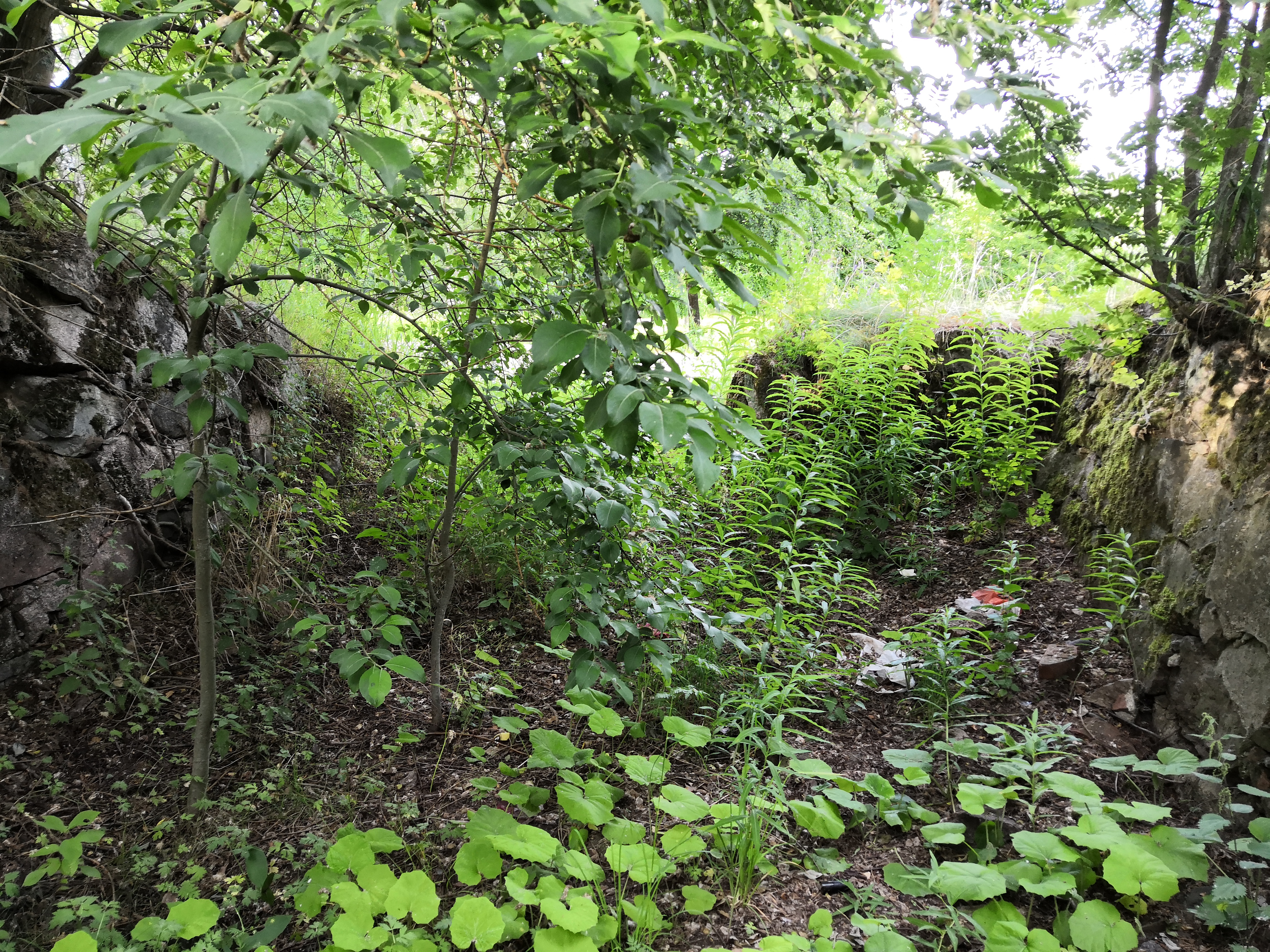 Paukkulanpuistossa sijaitsevat rakenteet, kauempana näkyy Kivikon asuinaluetta. Puiston alueella on sijainnut puolustusvoimien rakentama Malmin ampumarata, joka valmistui vuonna 1937 Helsingissä järjestettyihin ammunnan MM-kisoihin, ja suljettiin vuonna 1993. rephoto