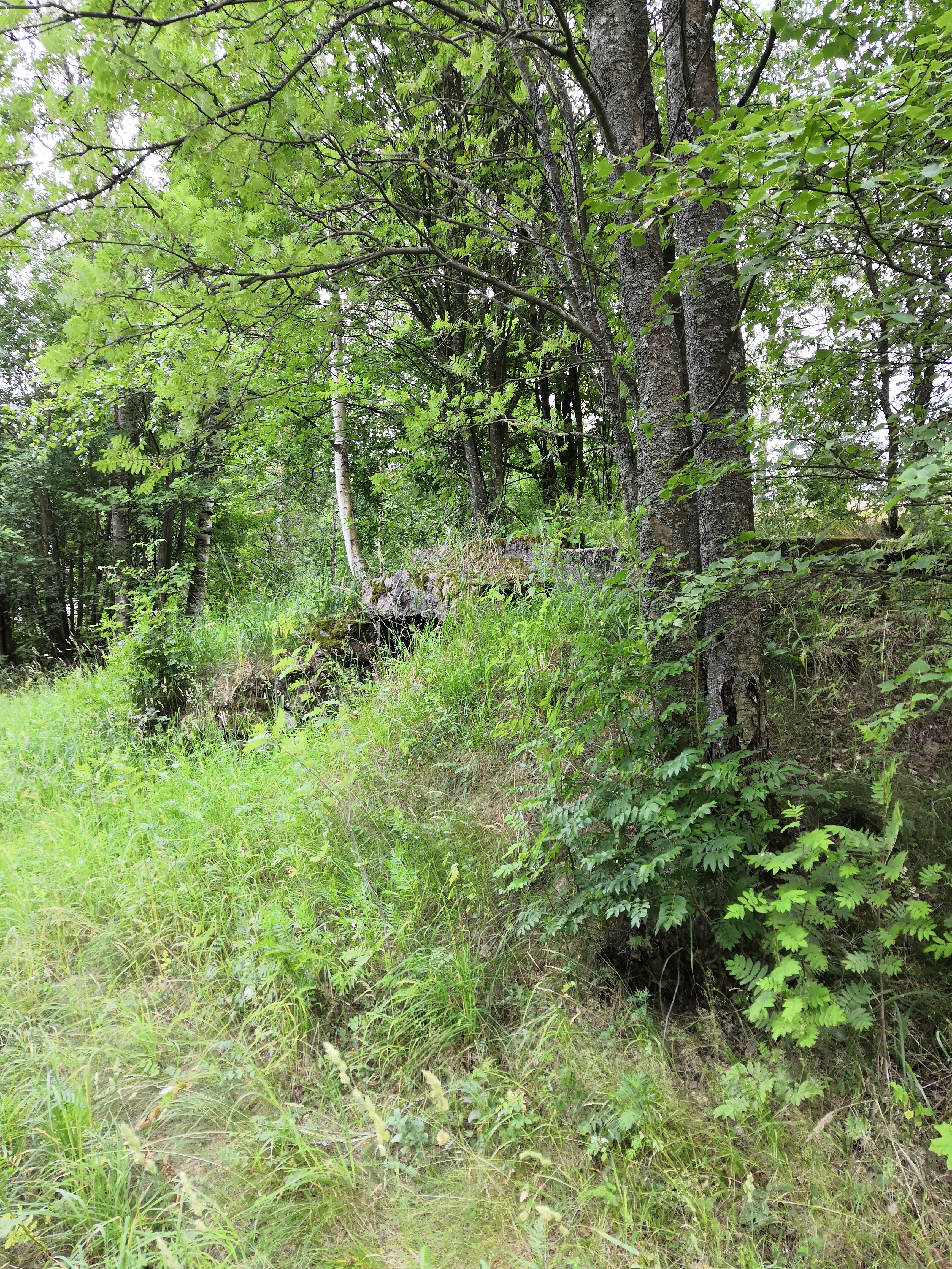 Paukkulanpuistossa sijaitseva kellari. Puiston alueella on sijainnut puolustusvoimien rakentama Malmin ampumarata, joka valmistui vuonna 1937 Helsingissä järjestettyihin ammunnan MM-kisoihin, ja suljettiin vuonna 1993. rephoto