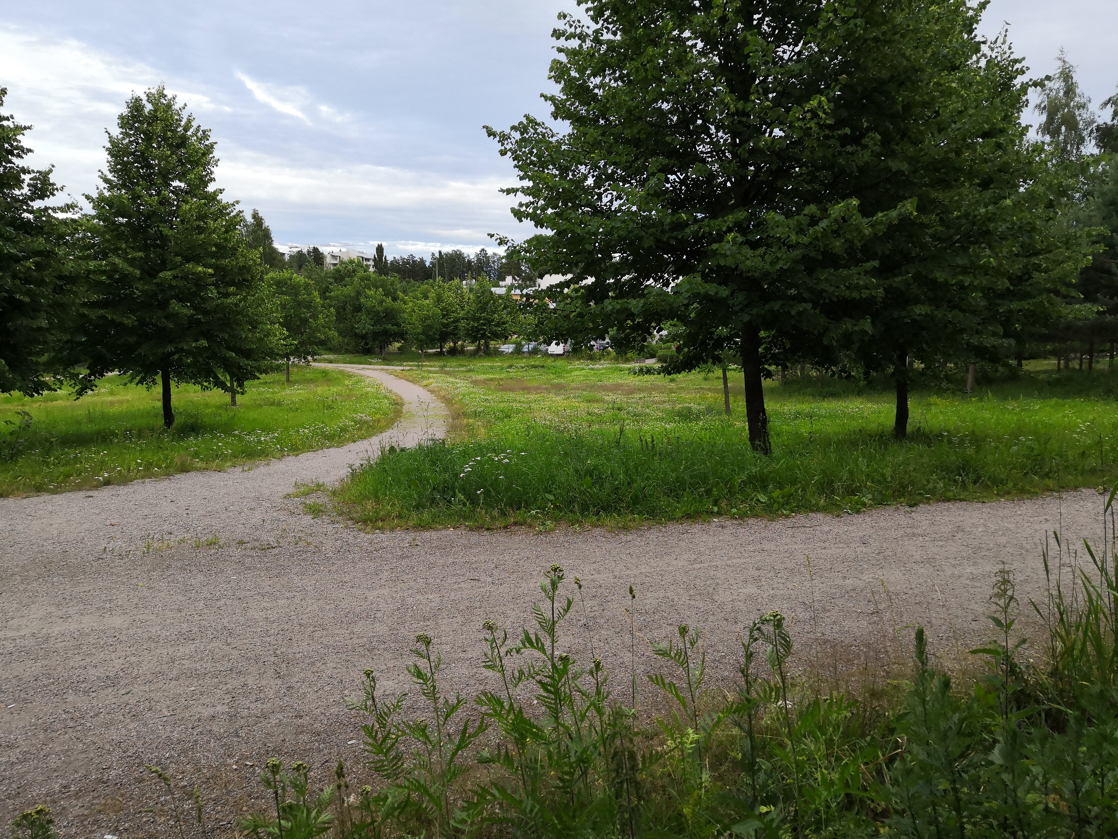 Paukkulanpuisto,, kauempana näkyy Kivikon asuinaluetta. Puiston alueella on sijainnut puolustusvoimien rakentama Malmin ampumarata, joka valmistui vuonna 1937 Helsingissä järjestettyihin ammunnan MM-kisoihin, ja suljettiin vuonna 1993. rephoto