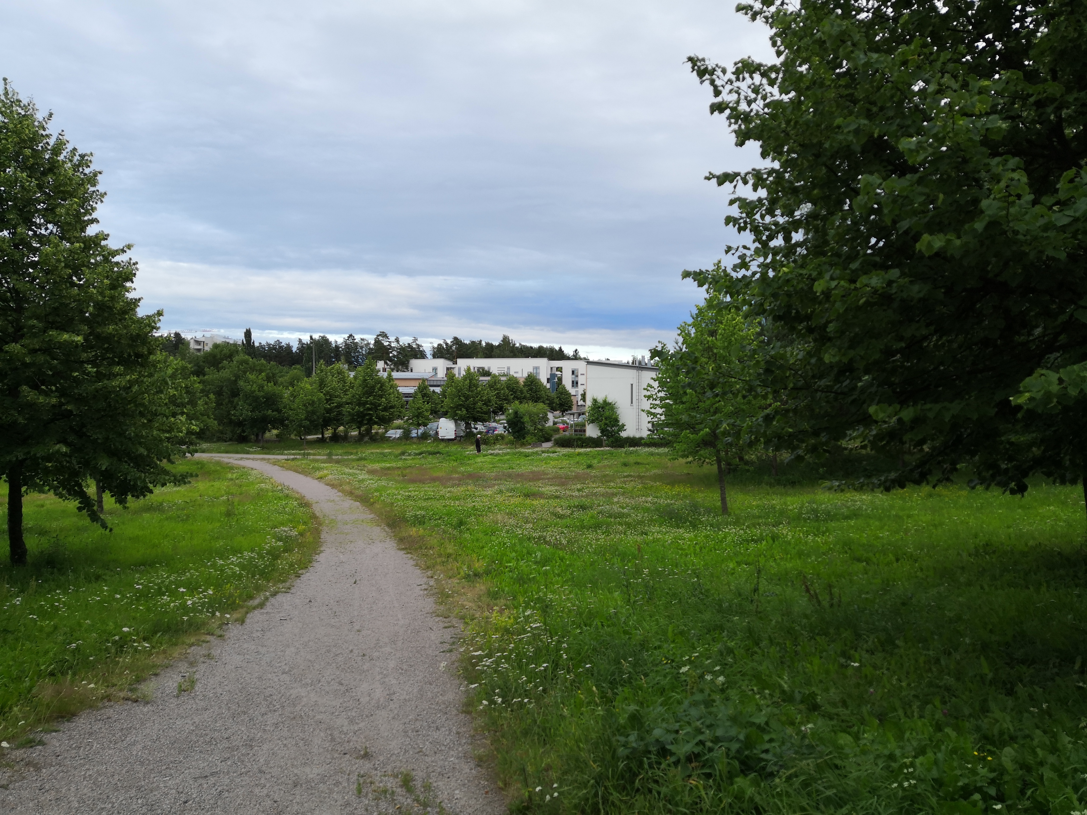 Kurkimäen asuntoalue ja korttelitalo Paukkulanraitilta kuvattuna. rephoto