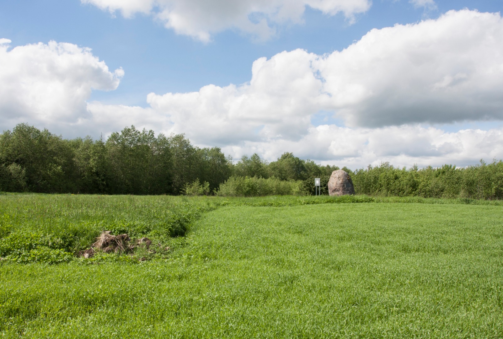 R. Kamsen's birthplace and home - Põltsamaa raj., Järavere village, Ülesaare farm rephoto