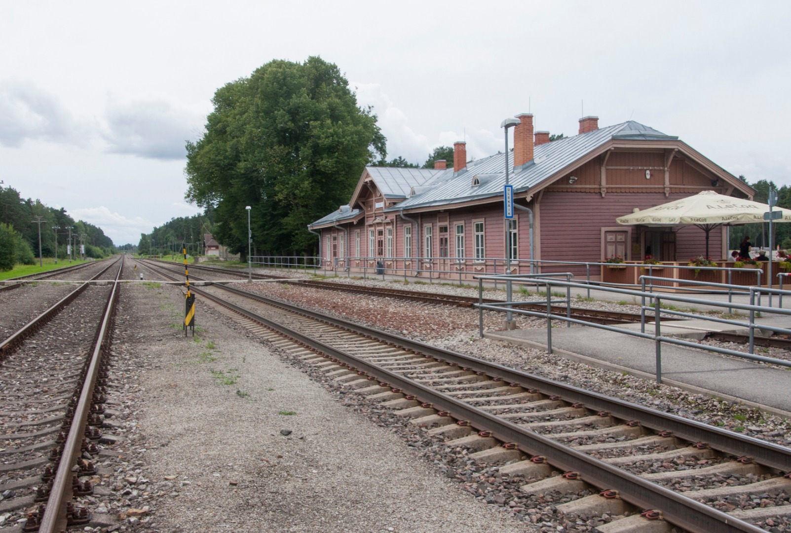 Photo postcard. Elva Railway Station. rephoto