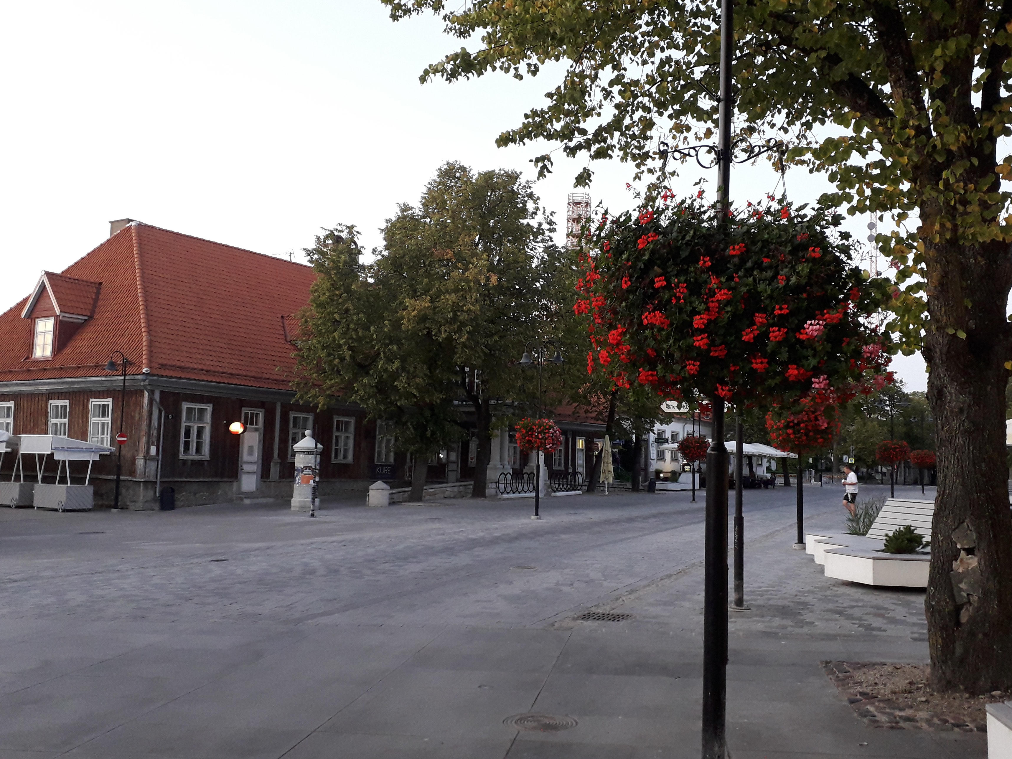 Liinibussid Tallinna tänaval peatuses rephoto