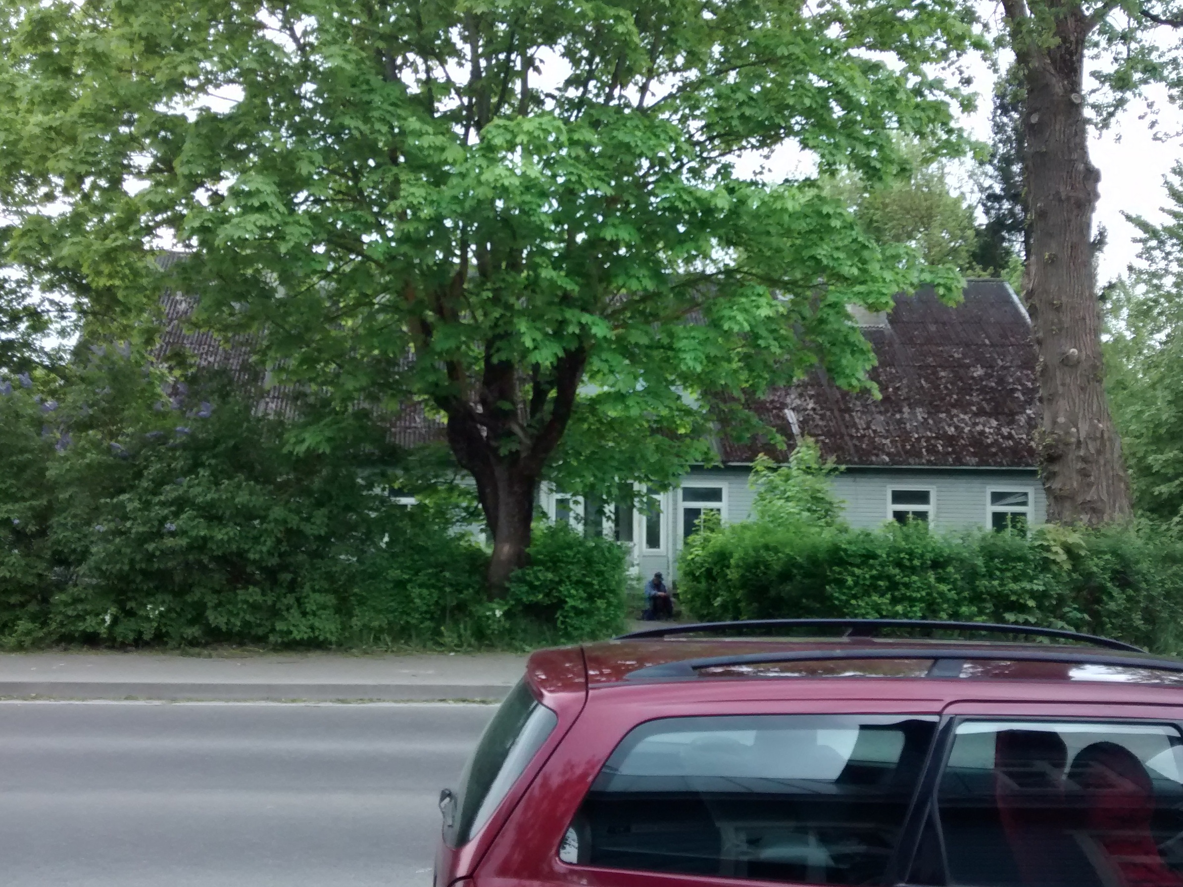 Keila Lastemuusikakool rephoto