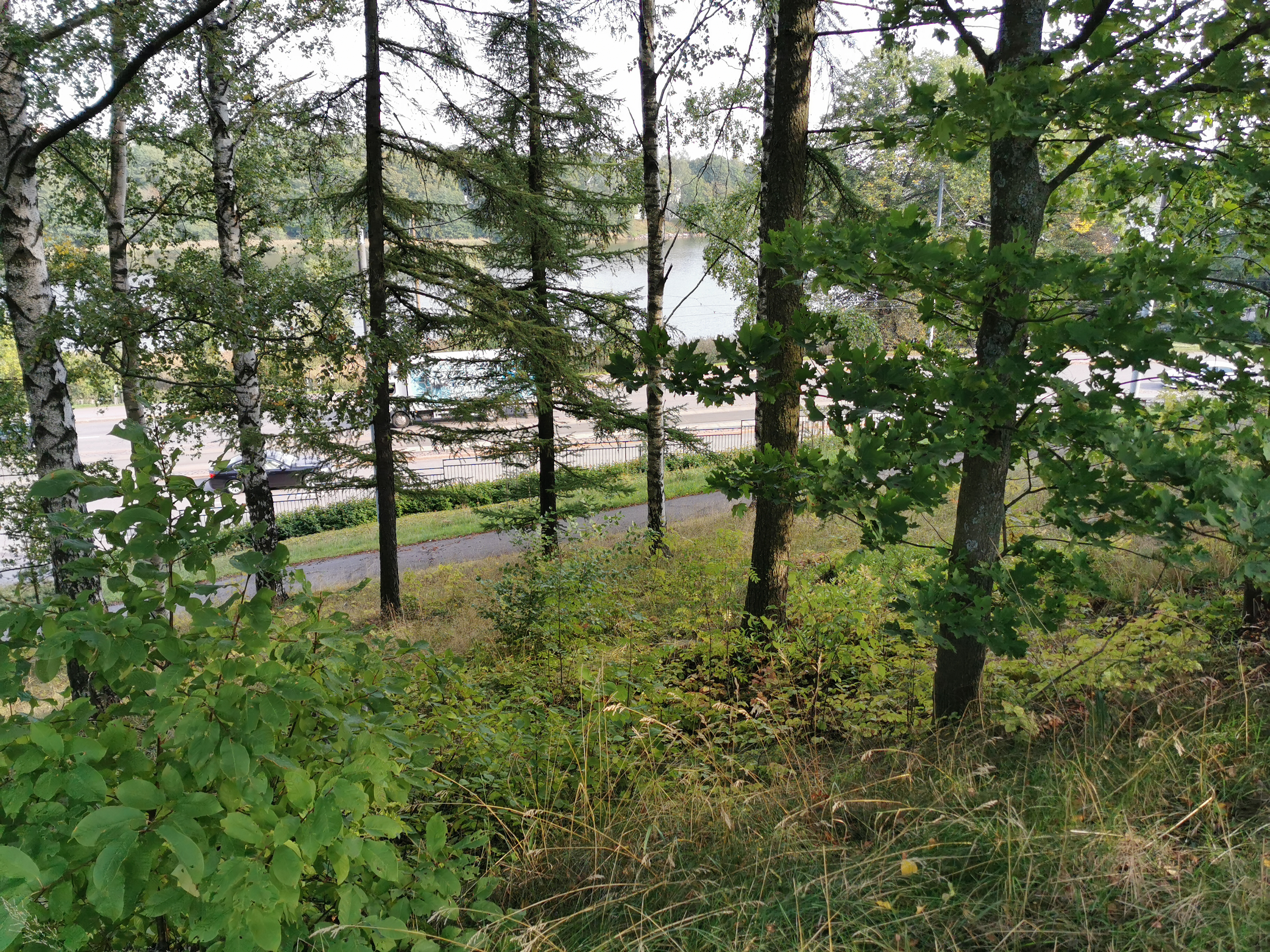 Töölönlahti rephoto