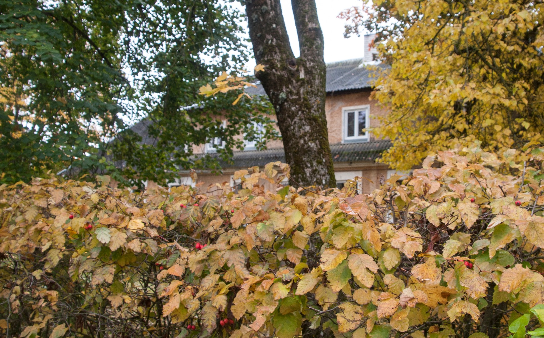 Photo Cleaner's Teach house rephoto