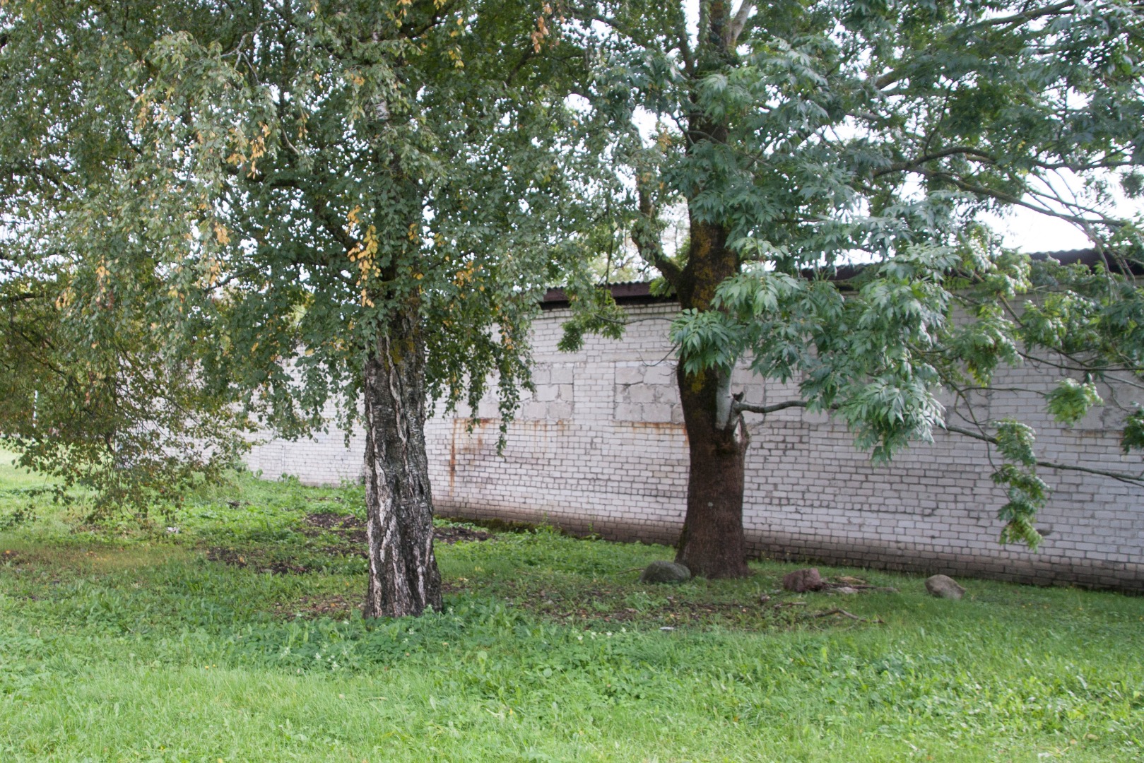 Puru primary school Jõhvi vald rephoto