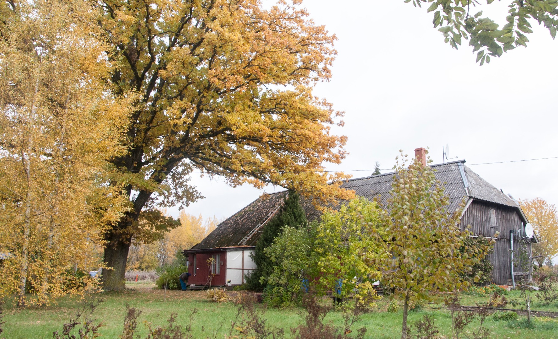 Residential school house in Viirats municipality. Built in 1867. rephoto