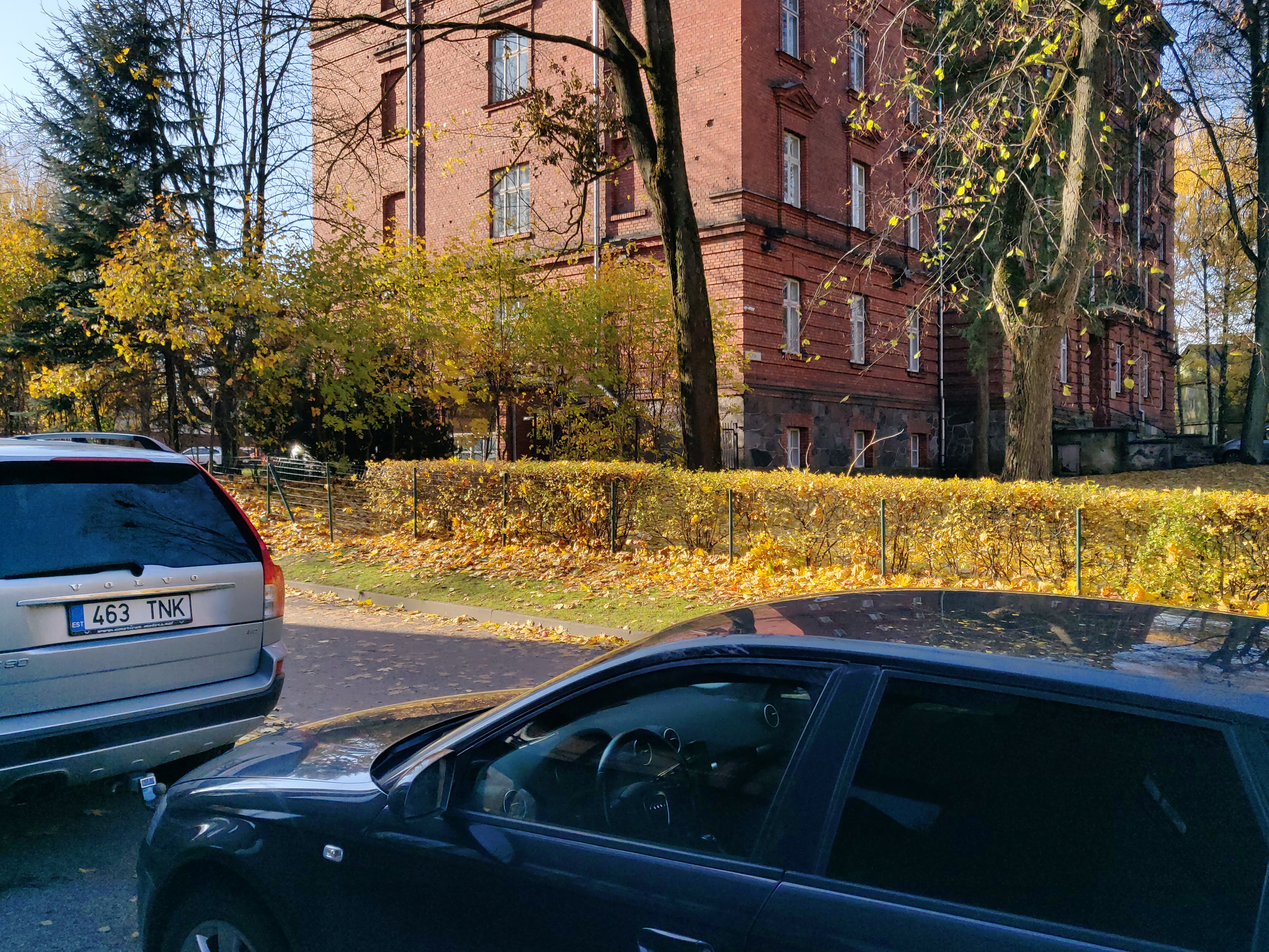 Tartu NMKÜ tegelased aeda parandamas rephoto