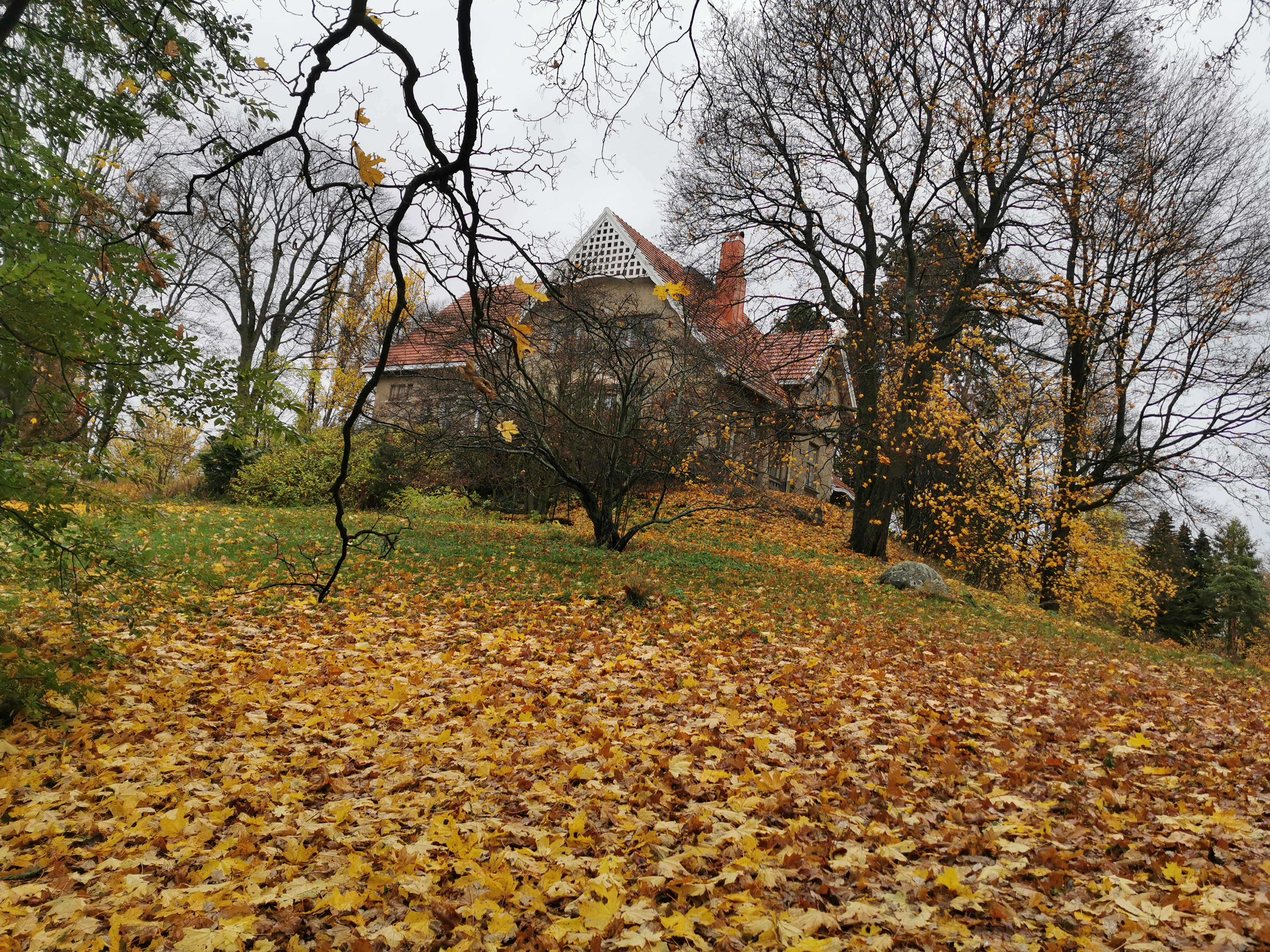 Kaupunginpuutarha, Eläintarha. rephoto