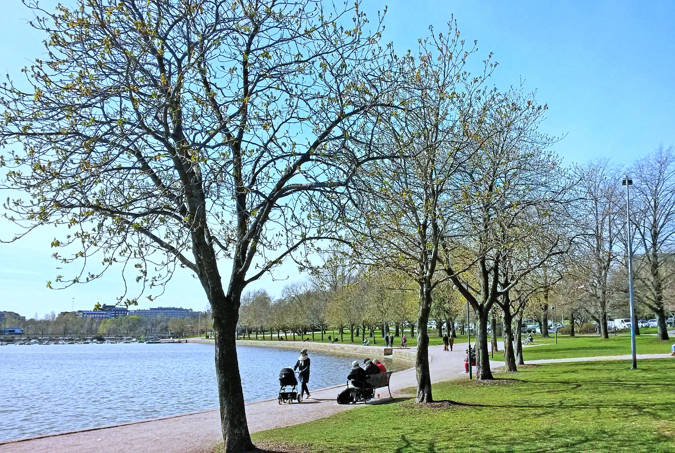 Eläintarhantie ja Eläintarhanlahti rephoto