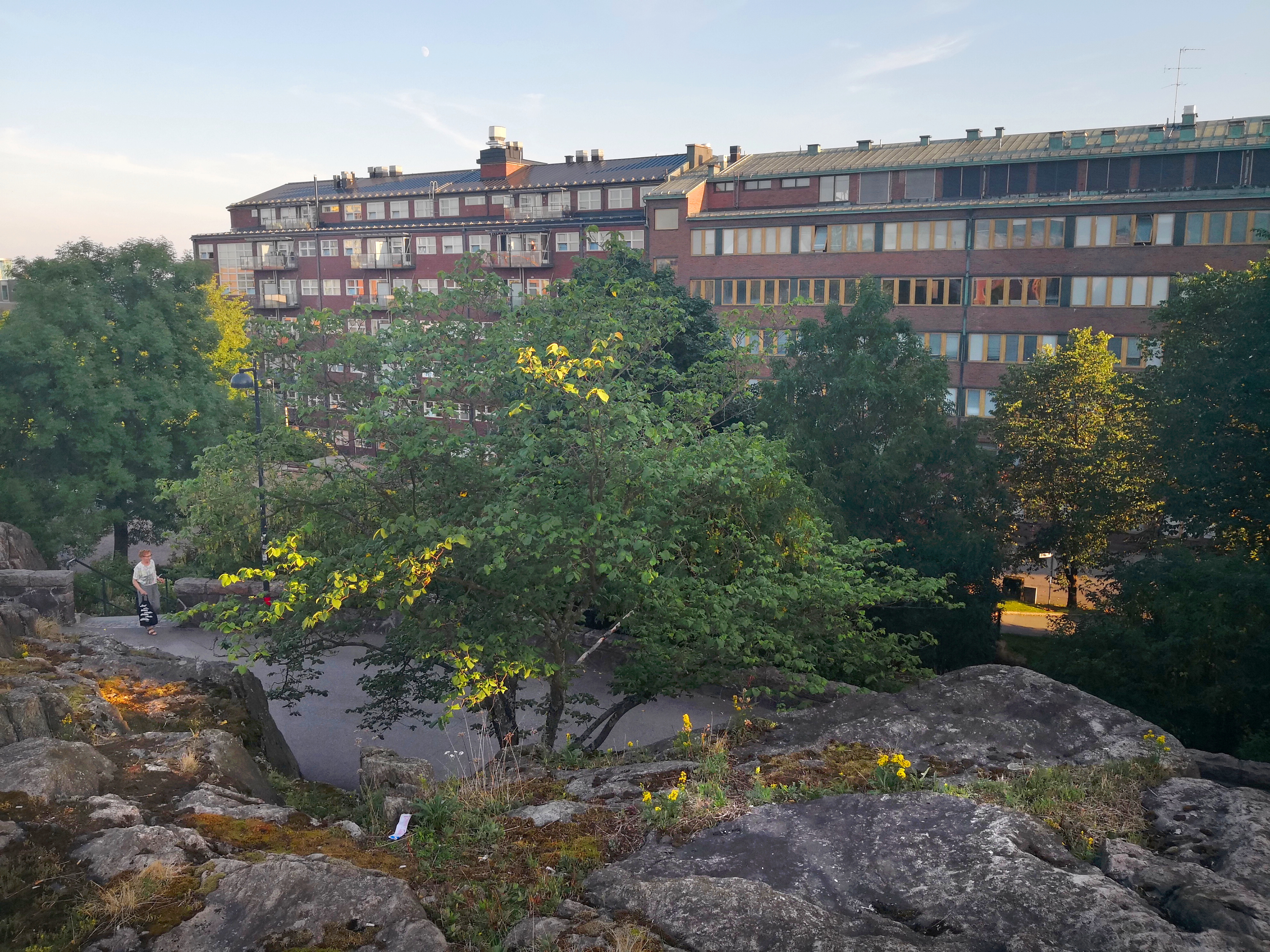 Panoraama Vilhonvuorelta (nykyinen Katri Valan puisto) etelään rephoto