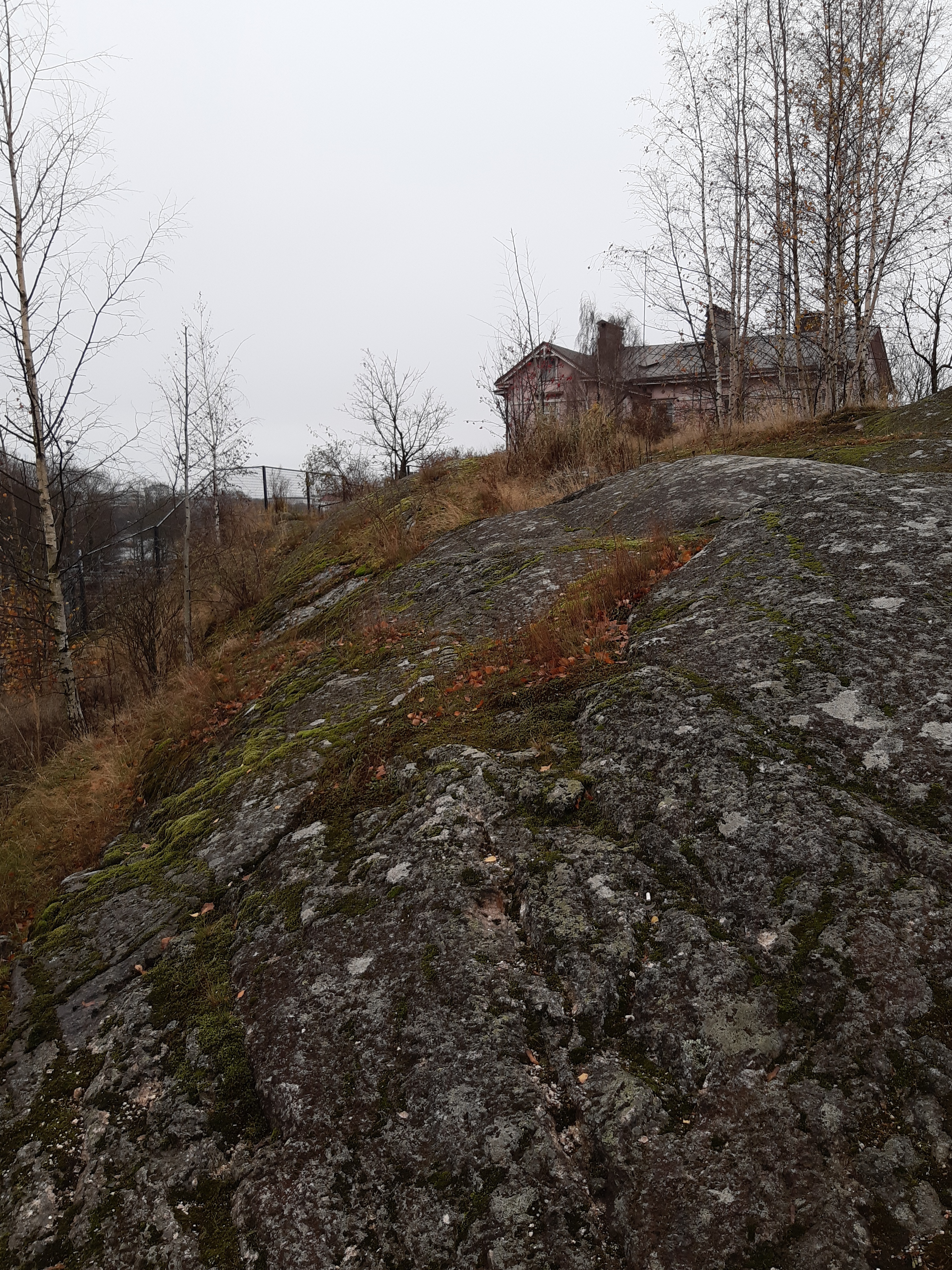 Linnunlauluntie. Kaksi poikaa (Aapo Rista ja Tuomas Heikkilä) tutkimassa keväistä luontoa Linnunlaulun kallioilla radan varressa. Näkymä radan ylittävän sillan kupeesta kaakkoon. Oikealla kallion laella Linnunlauluntie 12:n talo. rephoto