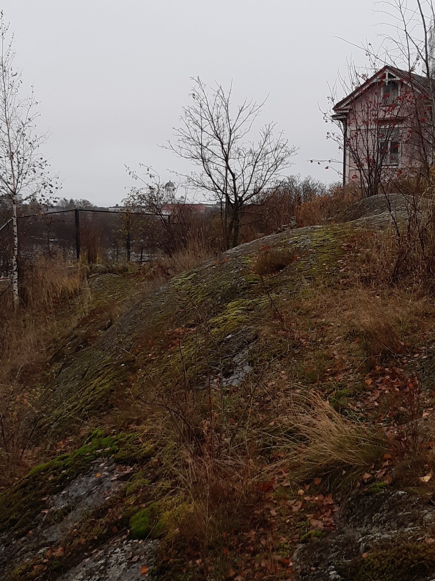 Linnunlauluntie. Kaksi poikaa (Aapo Rista ja Tuomas Heikkilä) tutkimassa keväistä luontoa Linnunlaulun kallioilla radan varressa. Näkymä radan ylittävän sillan kupeesta kaakkoon. Oikealla kallion laella Linnunlauluntie 12:n talon pääty. Taustalla horisontissa Tuomiokirkon torni. rephoto