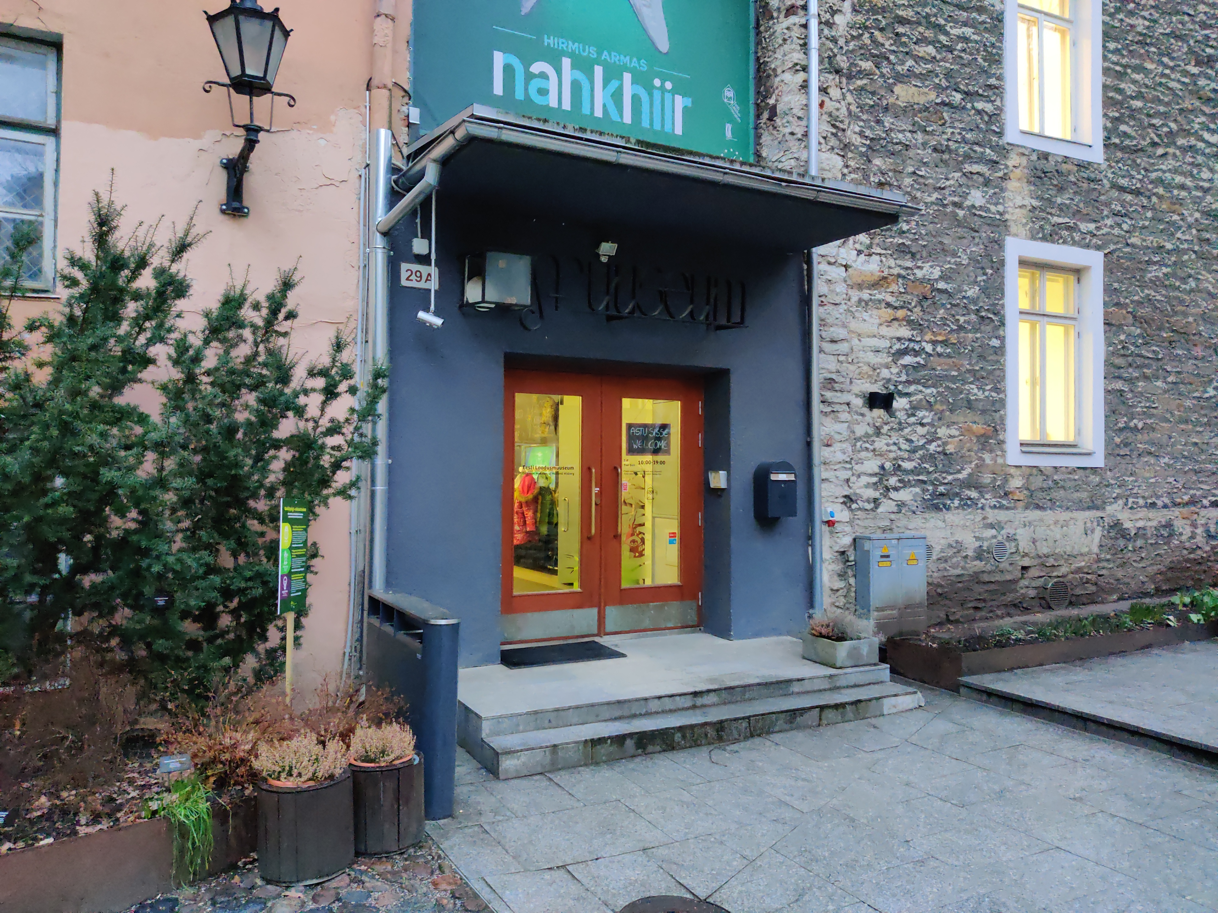 Tallinn, Lai tänav 29, värav Huecki maja õues. rephoto