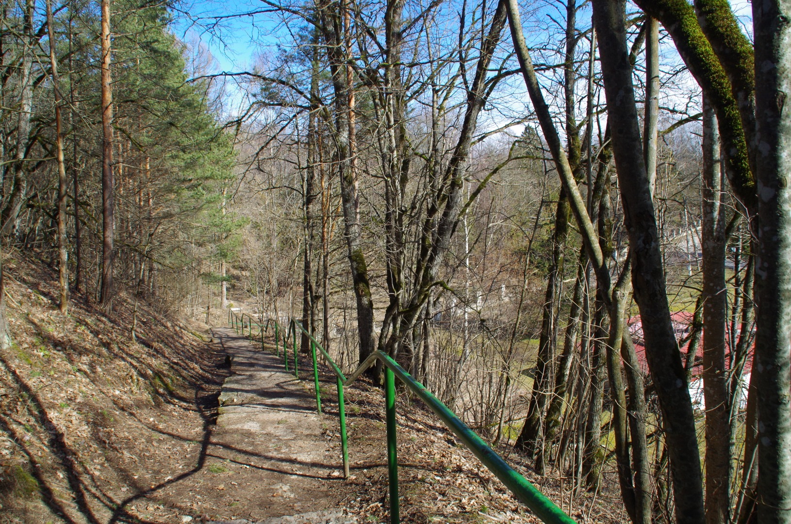 Rakvere Pauluse koguduse surnuaed rephoto