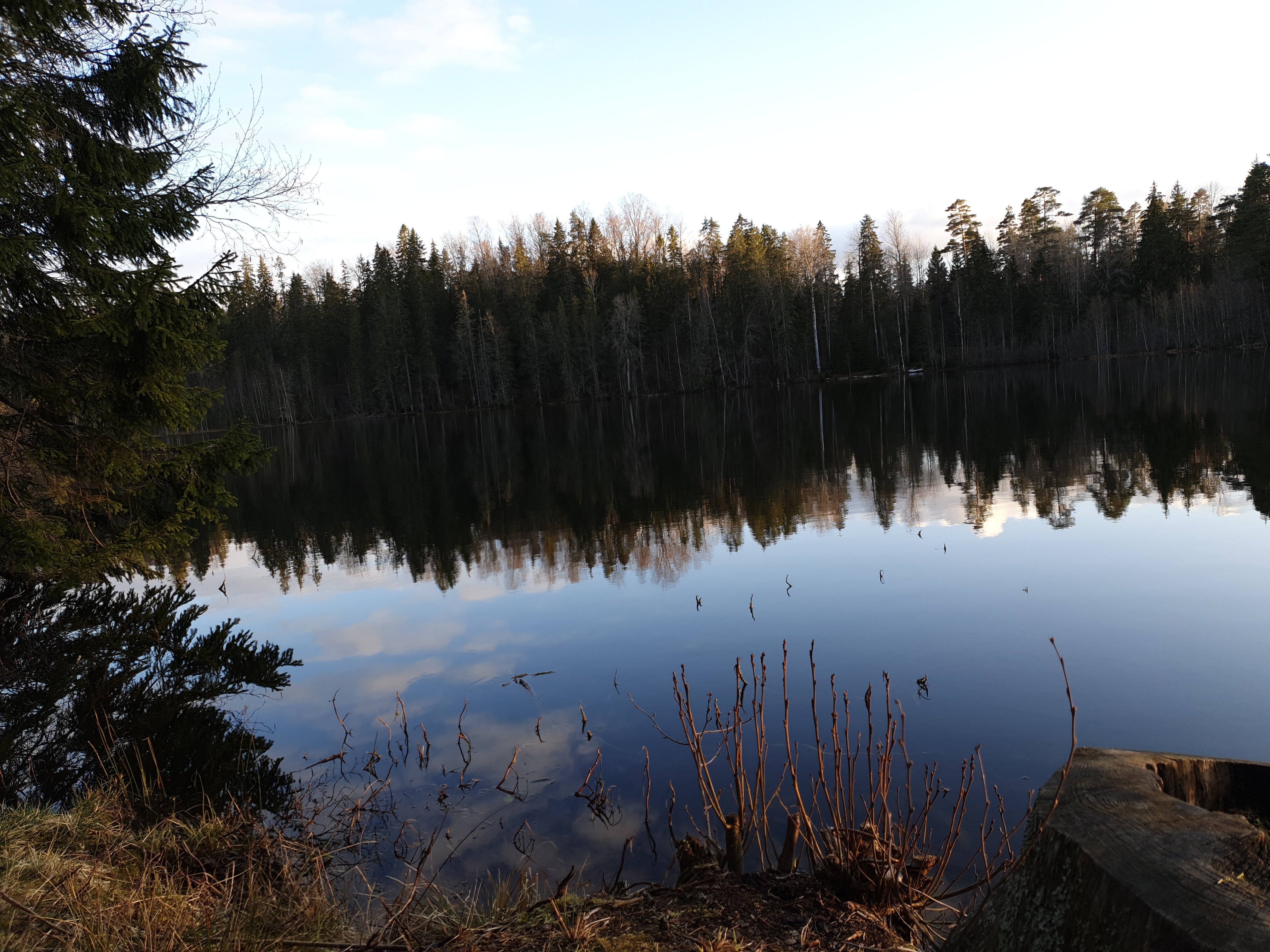 Lake Vahejärv rephoto