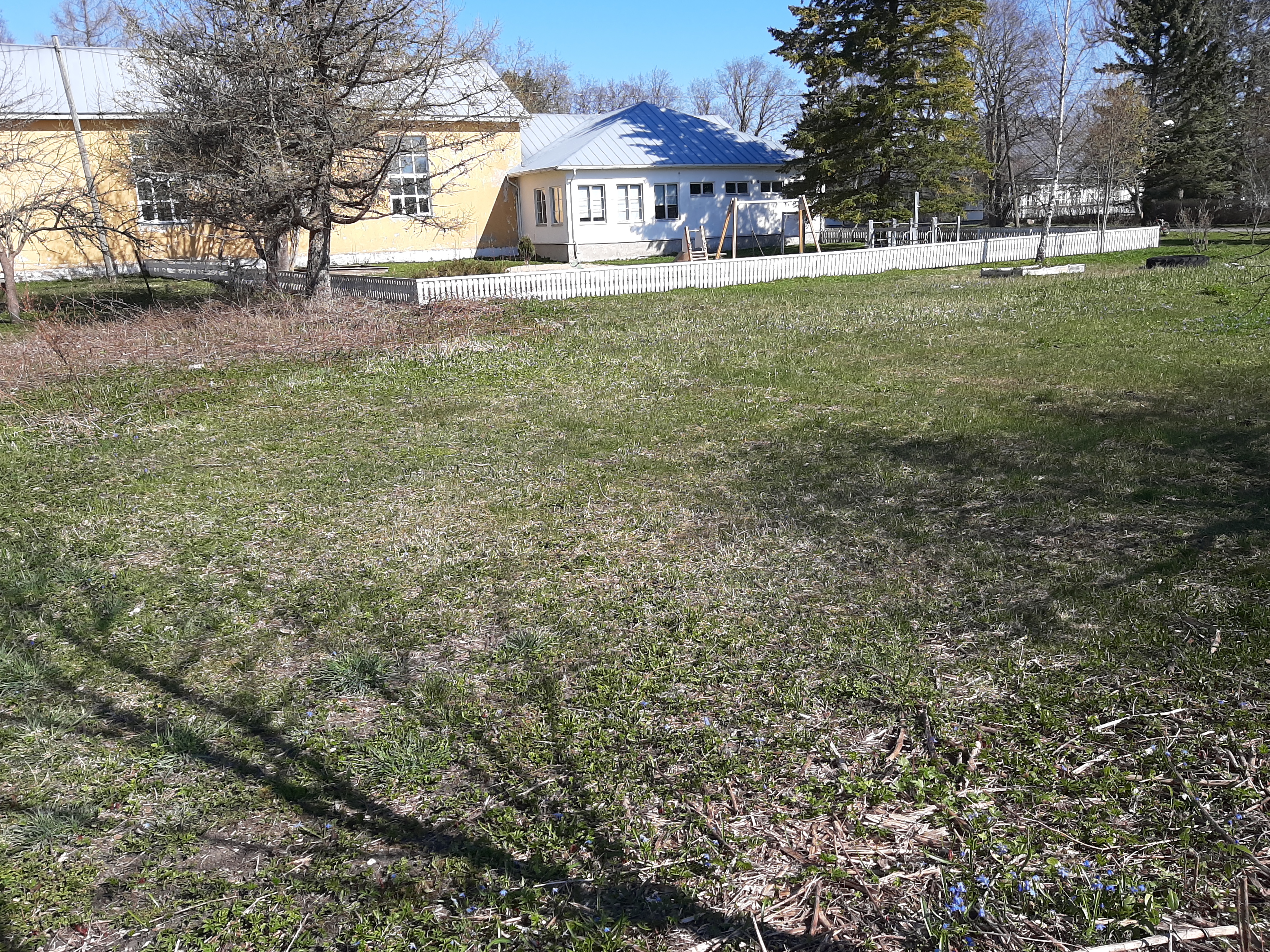 Hedvig Kokk, family member of the Nõva Basic School Garden. rephoto