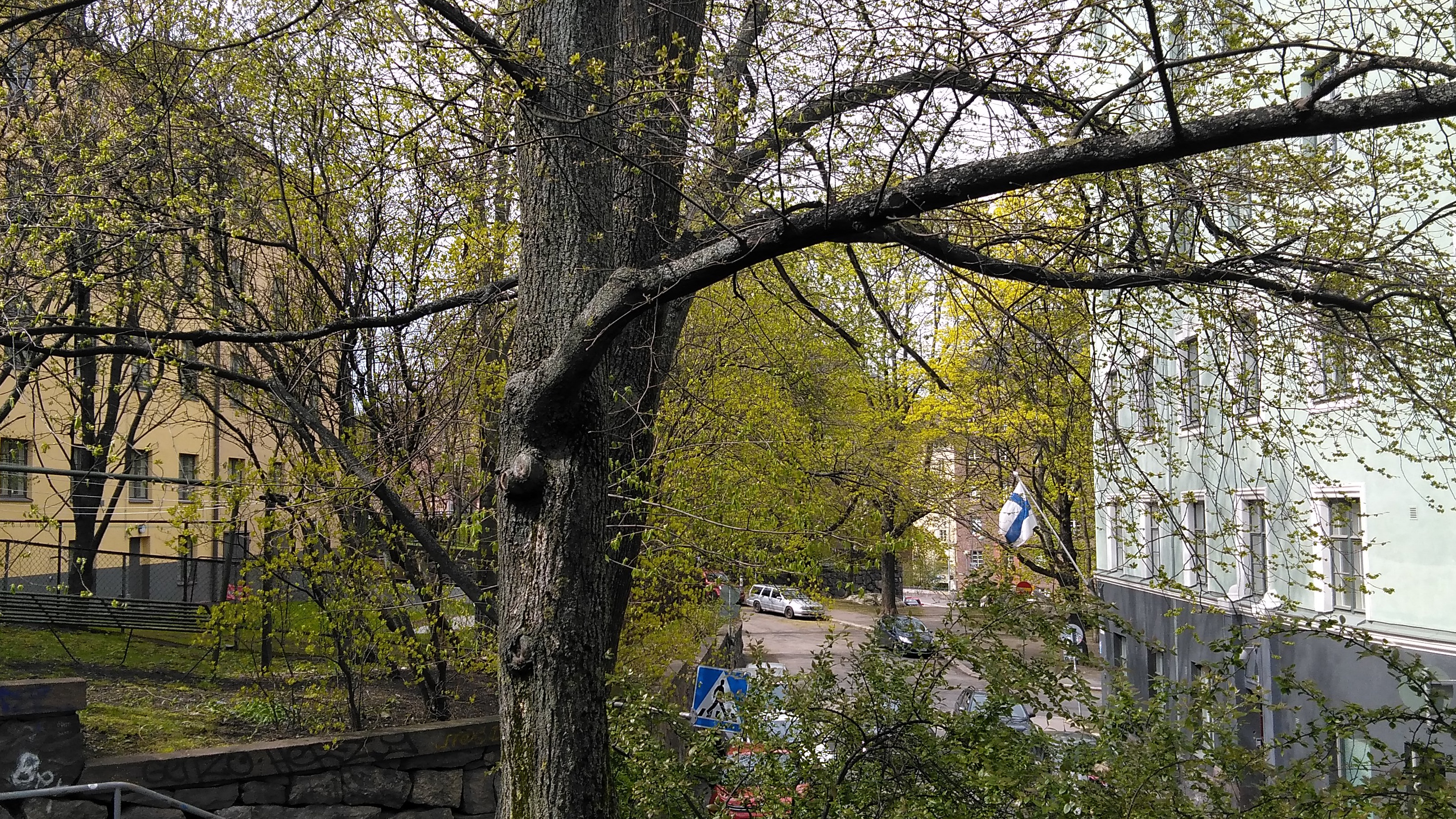 Torkkelinmäki, vasemmalla Franzeninkatu 6, 8, oikealla Franzenink rephoto